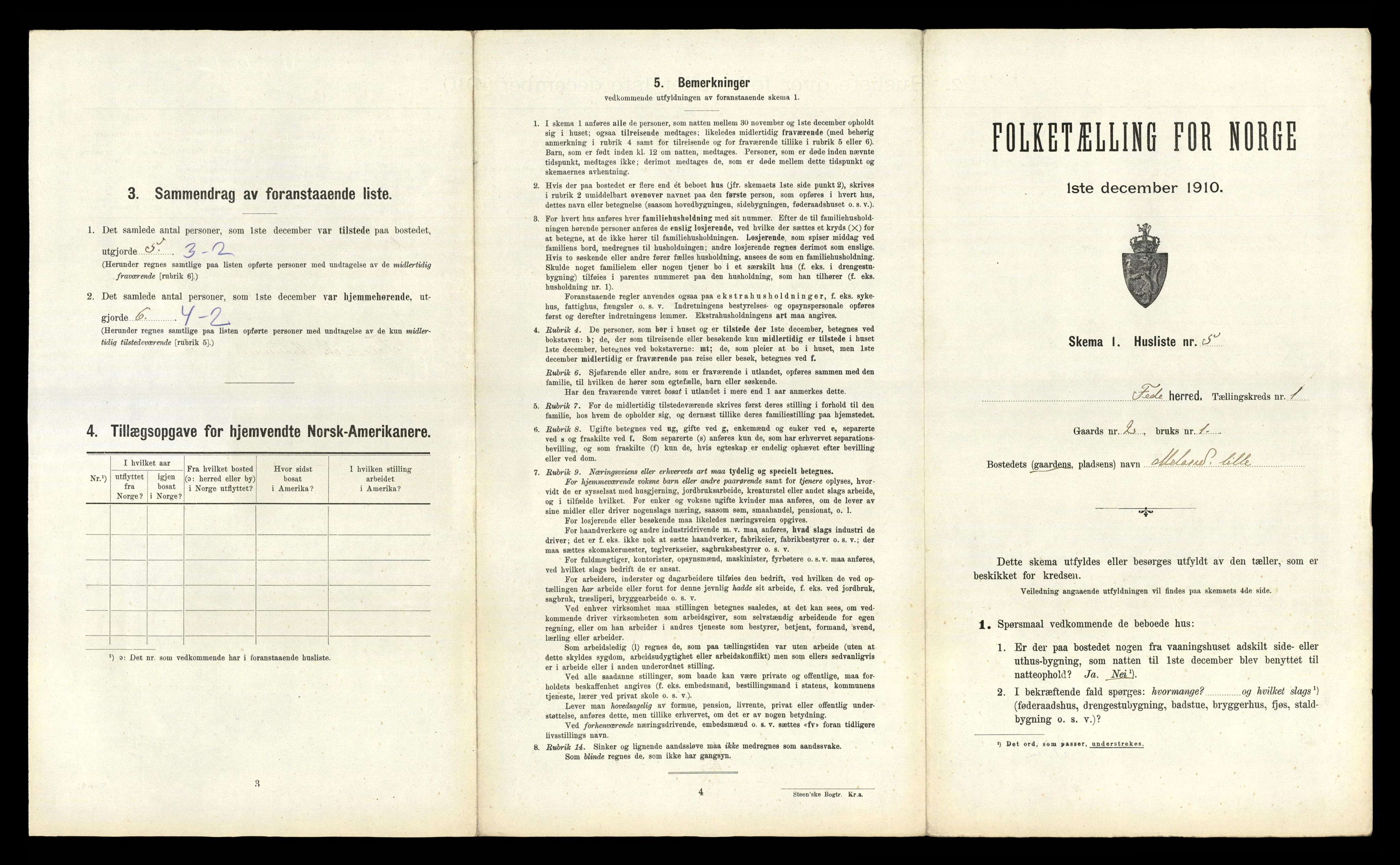 RA, 1910 census for Feda, 1910, p. 29