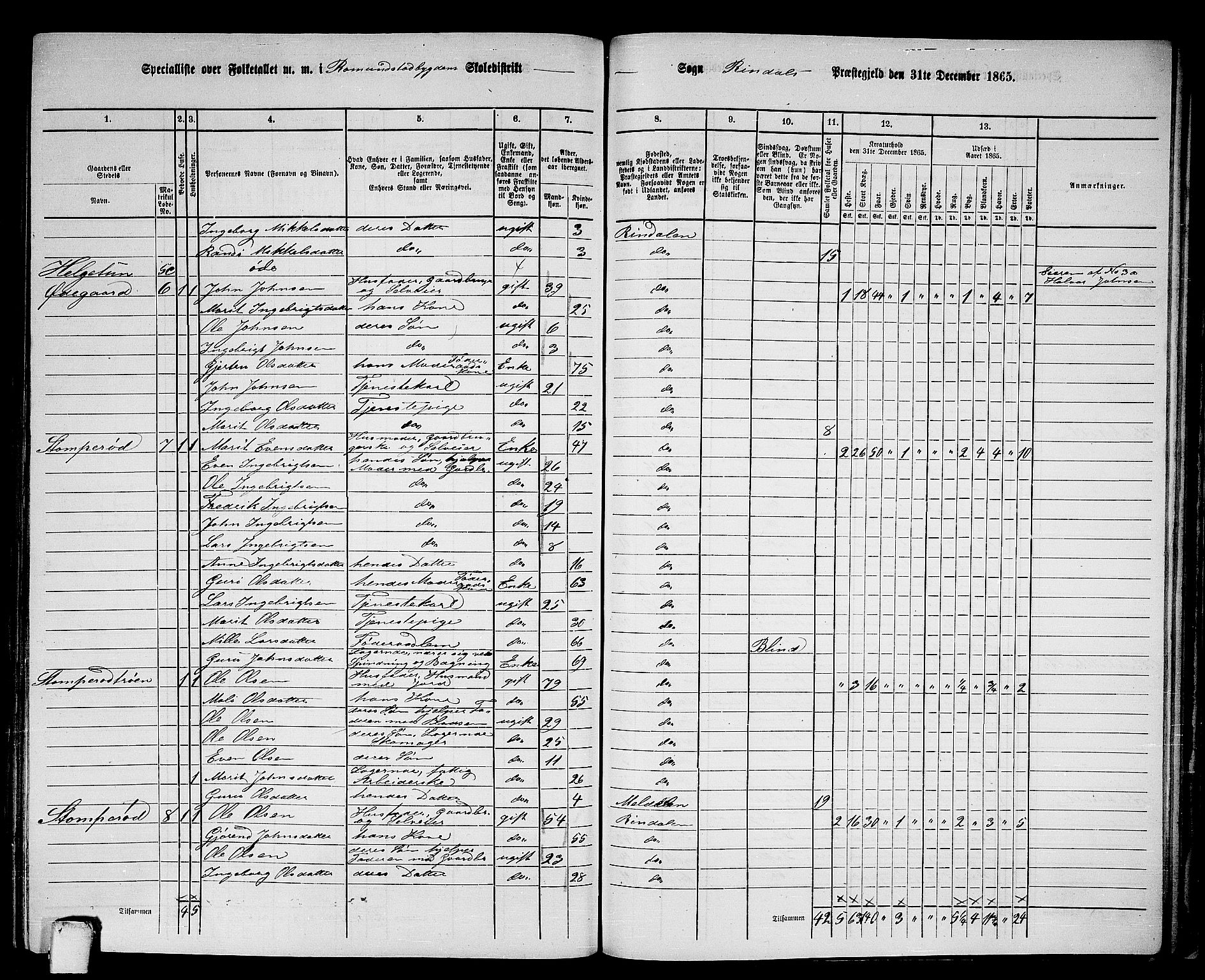 RA, 1865 census for Rindal, 1865, p. 71