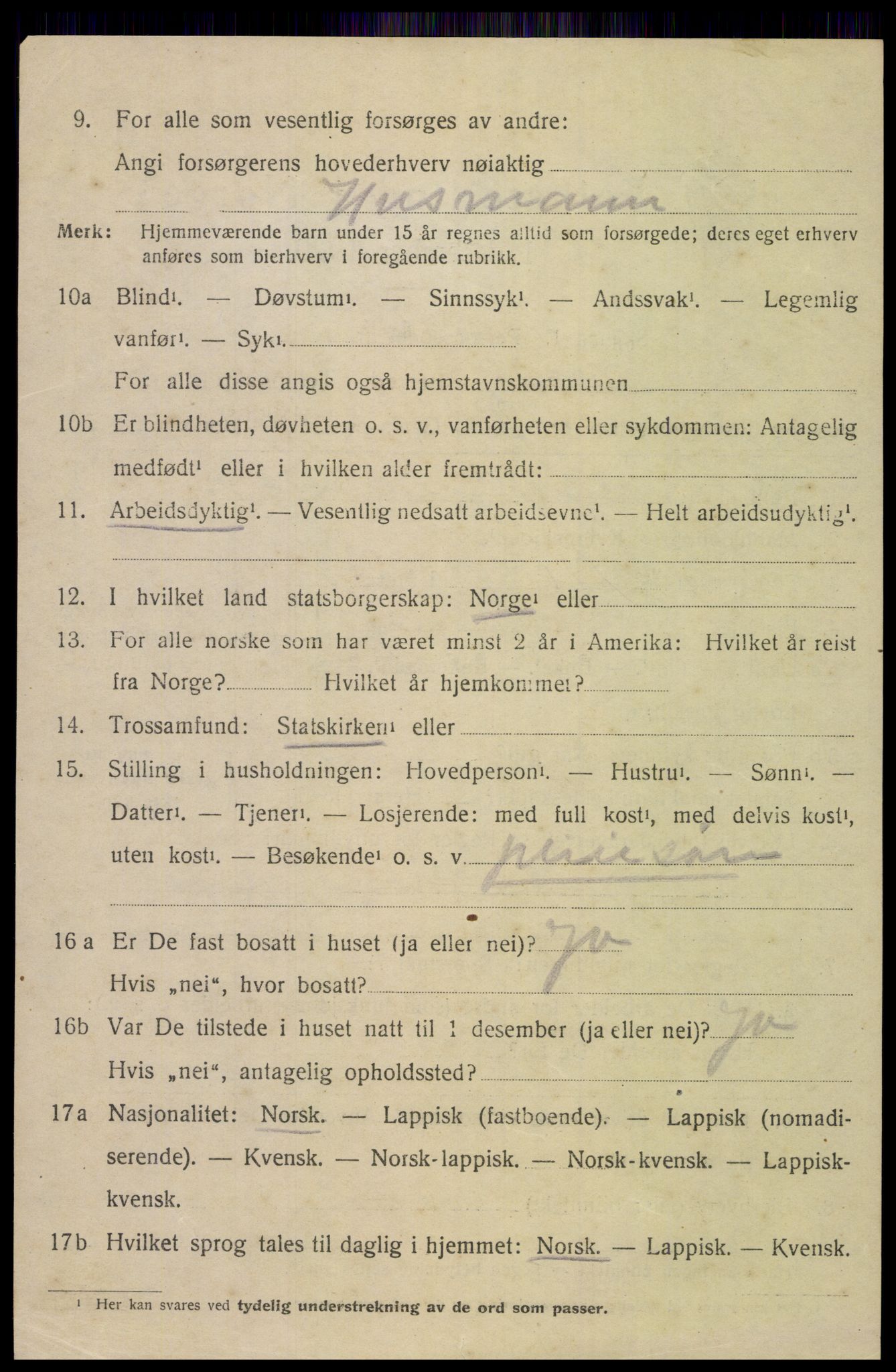 SAT, 1920 census for Bodin, 1920, p. 11497