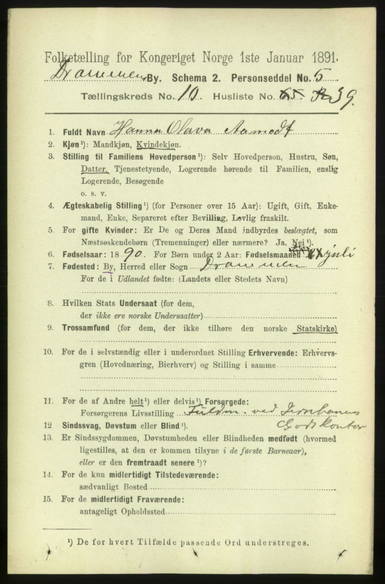 RA, 1891 census for 0602 Drammen, 1891, p. 8317