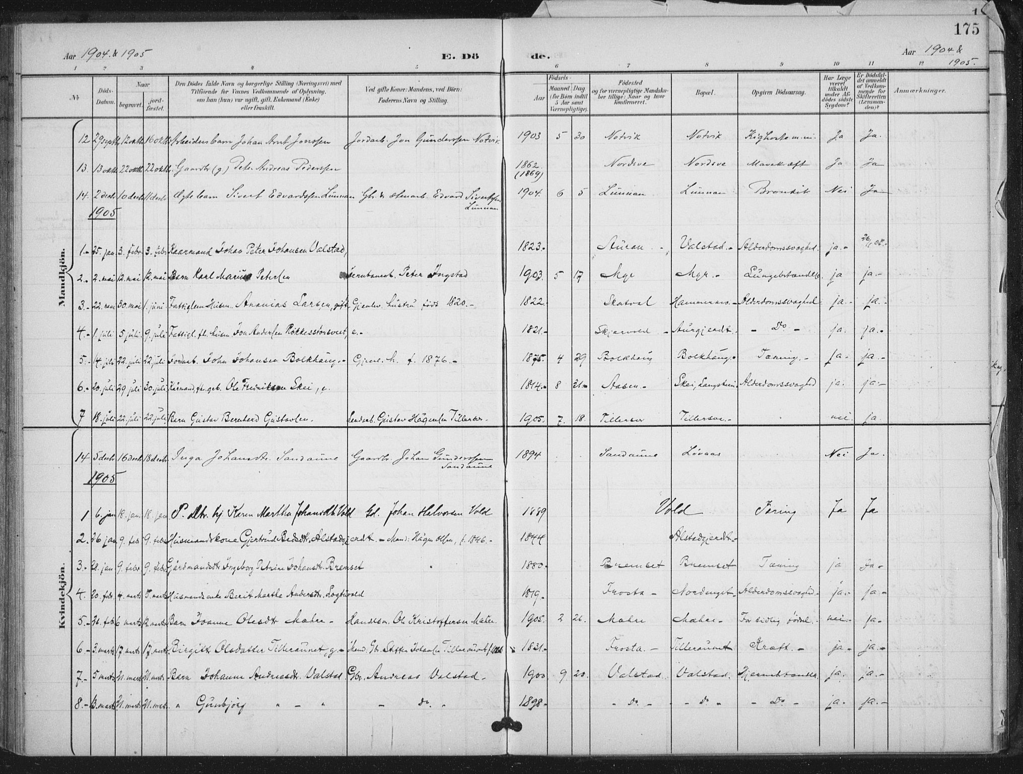 Ministerialprotokoller, klokkerbøker og fødselsregistre - Nord-Trøndelag, SAT/A-1458/712/L0101: Parish register (official) no. 712A02, 1901-1916, p. 175