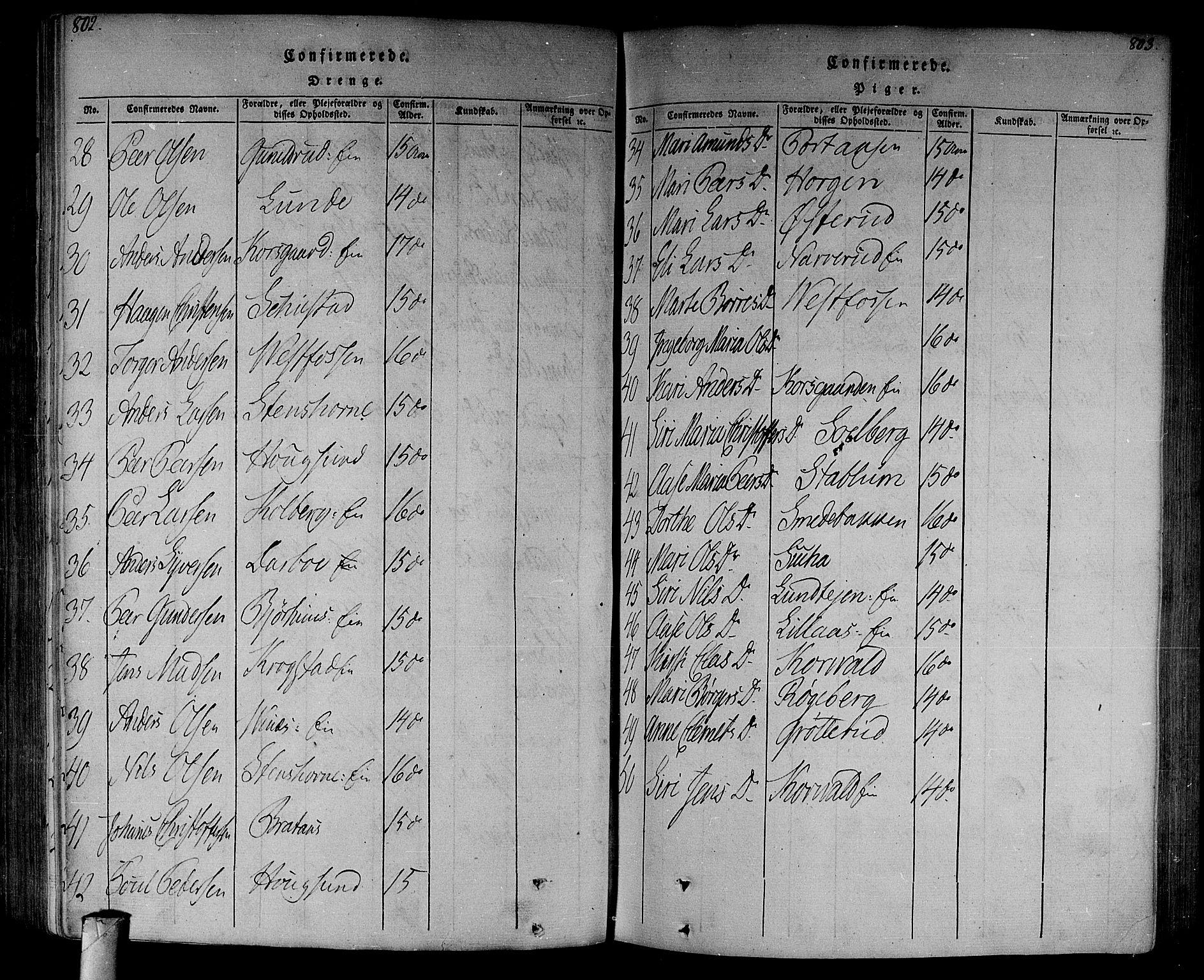 Eiker kirkebøker, AV/SAKO-A-4/F/Fa/L0010: Parish register (official) no. I 10, 1806-1815, p. 802-803