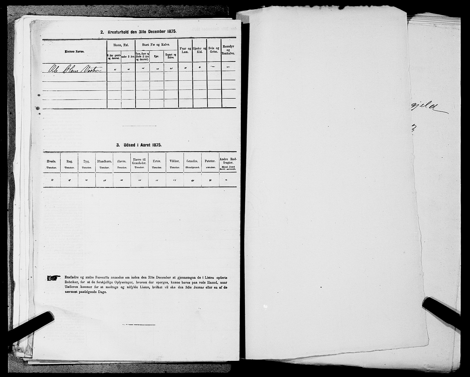 SAST, 1875 census for 1130P Strand, 1875, p. 244