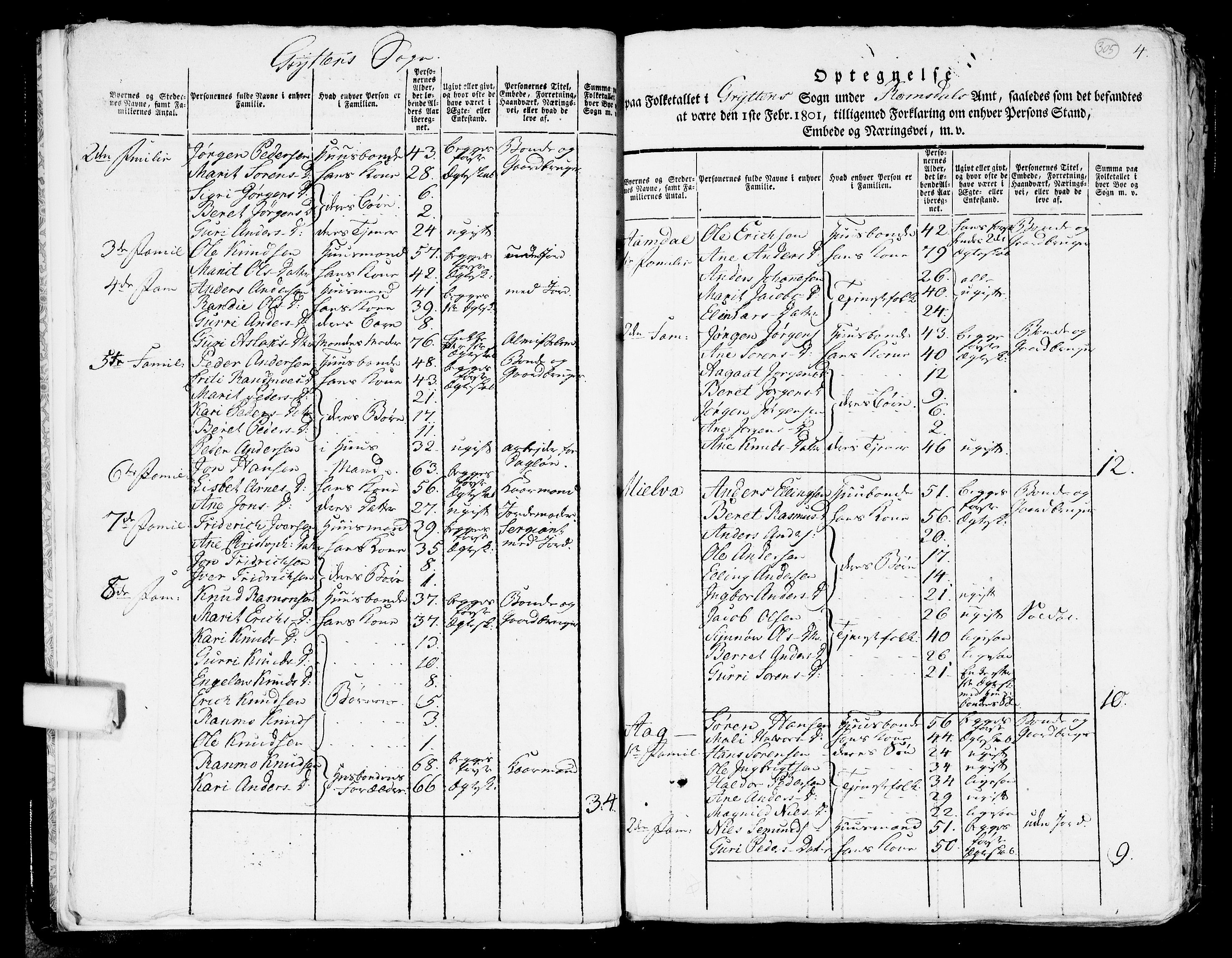 RA, 1801 census for 1539P Grytten, 1801, p. 304b-305a