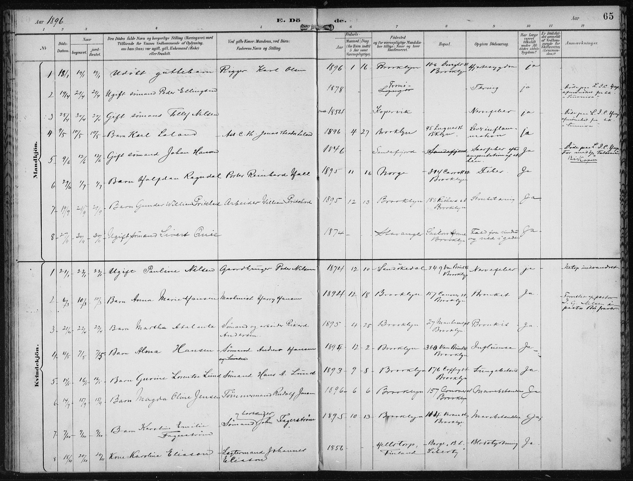 Den norske sjømannsmisjon i utlandet/New York, SAB/SAB/PA-0110/H/Ha/L0004: Parish register (official) no. A 4, 1893-1901, p. 65