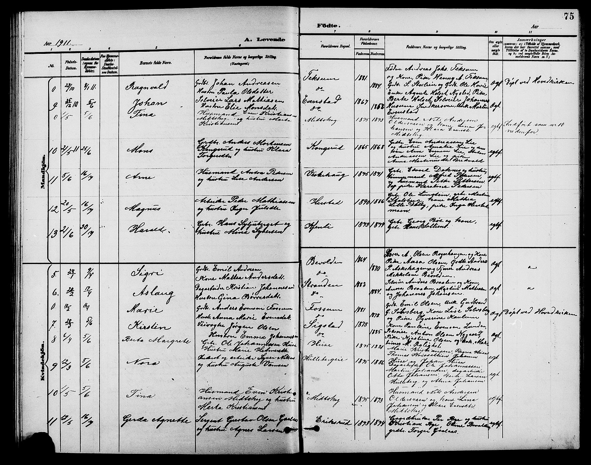 Nes prestekontor, Hedmark, AV/SAH-PREST-020/L/La/L0007: Parish register (copy) no. 7, 1892-1912, p. 75