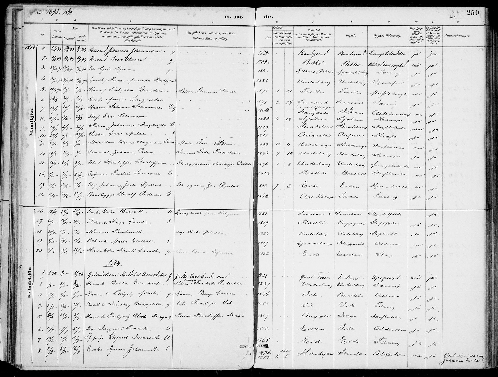 Strandebarm sokneprestembete, SAB/A-78401/H/Haa: Parish register (official) no. E  1, 1886-1908, p. 250