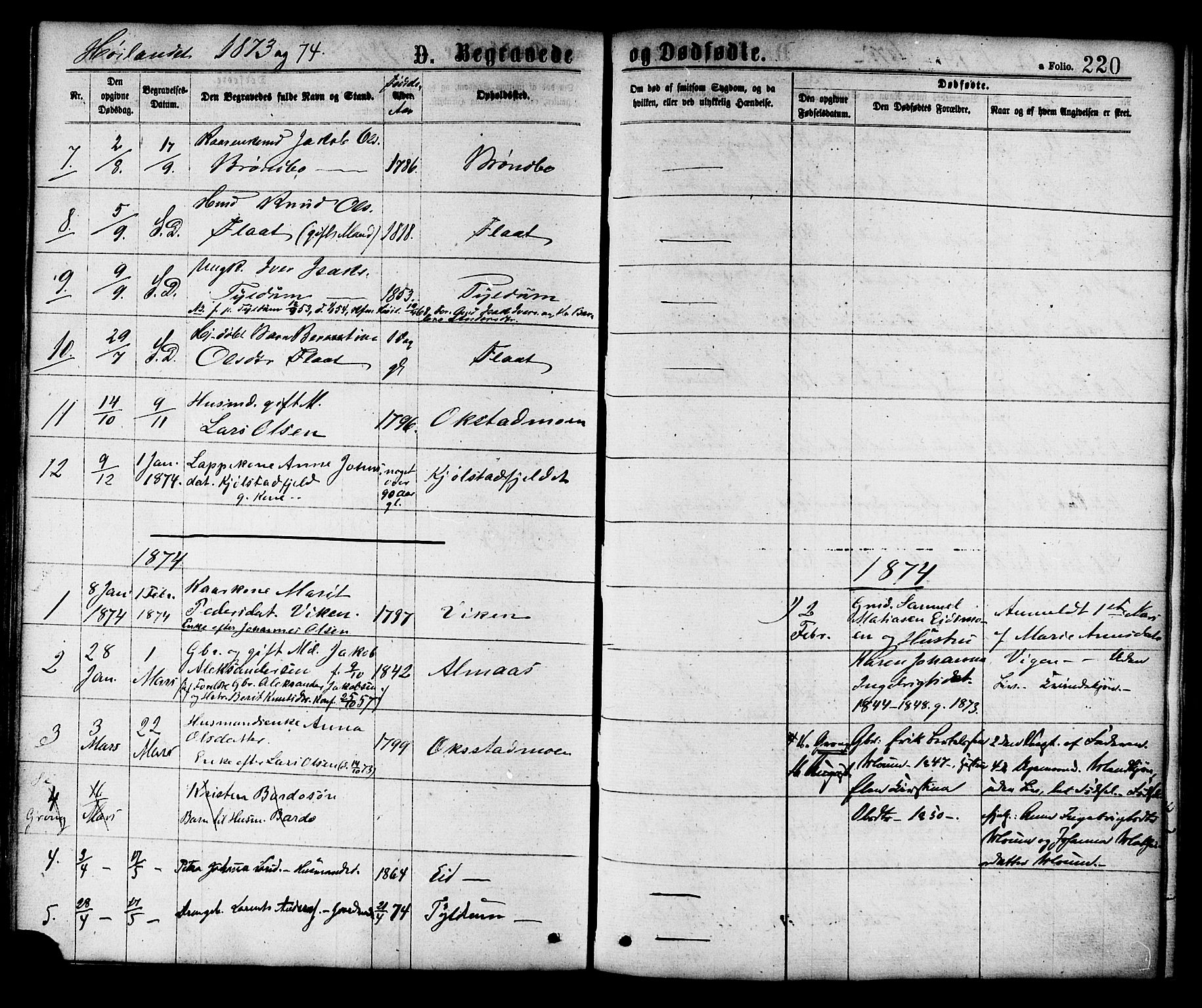 Ministerialprotokoller, klokkerbøker og fødselsregistre - Nord-Trøndelag, SAT/A-1458/758/L0516: Parish register (official) no. 758A03 /2, 1869-1879, p. 220