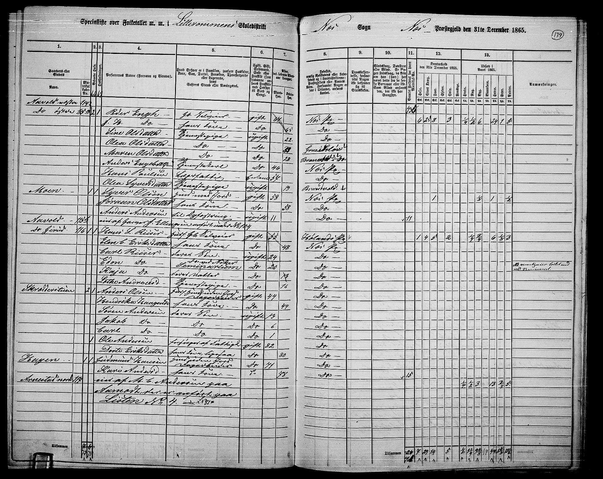 RA, 1865 census for Nes, 1865, p. 126