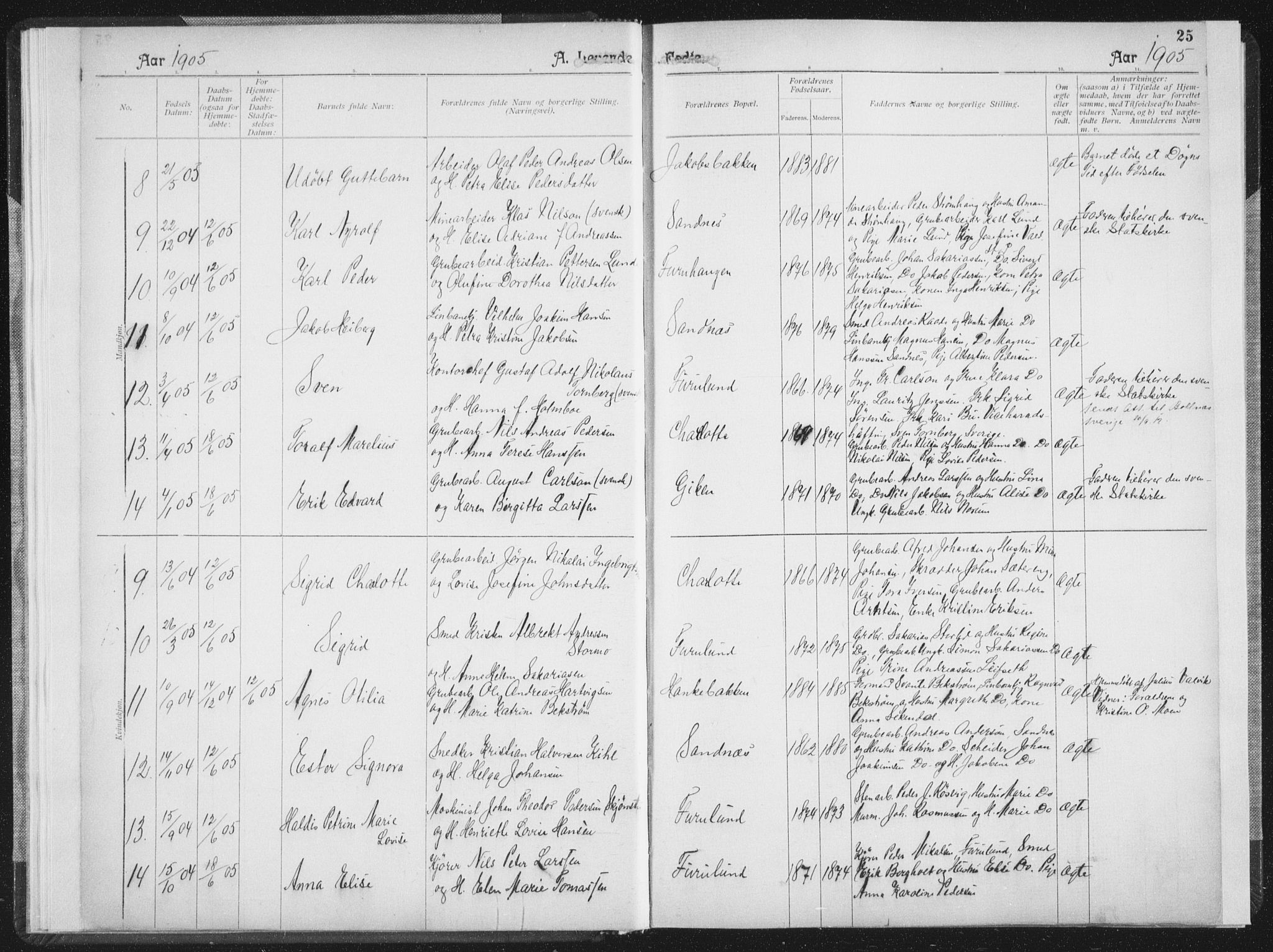 Ministerialprotokoller, klokkerbøker og fødselsregistre - Nordland, AV/SAT-A-1459/850/L0711: Curate's parish register no. 850B01, 1902-1915, p. 25