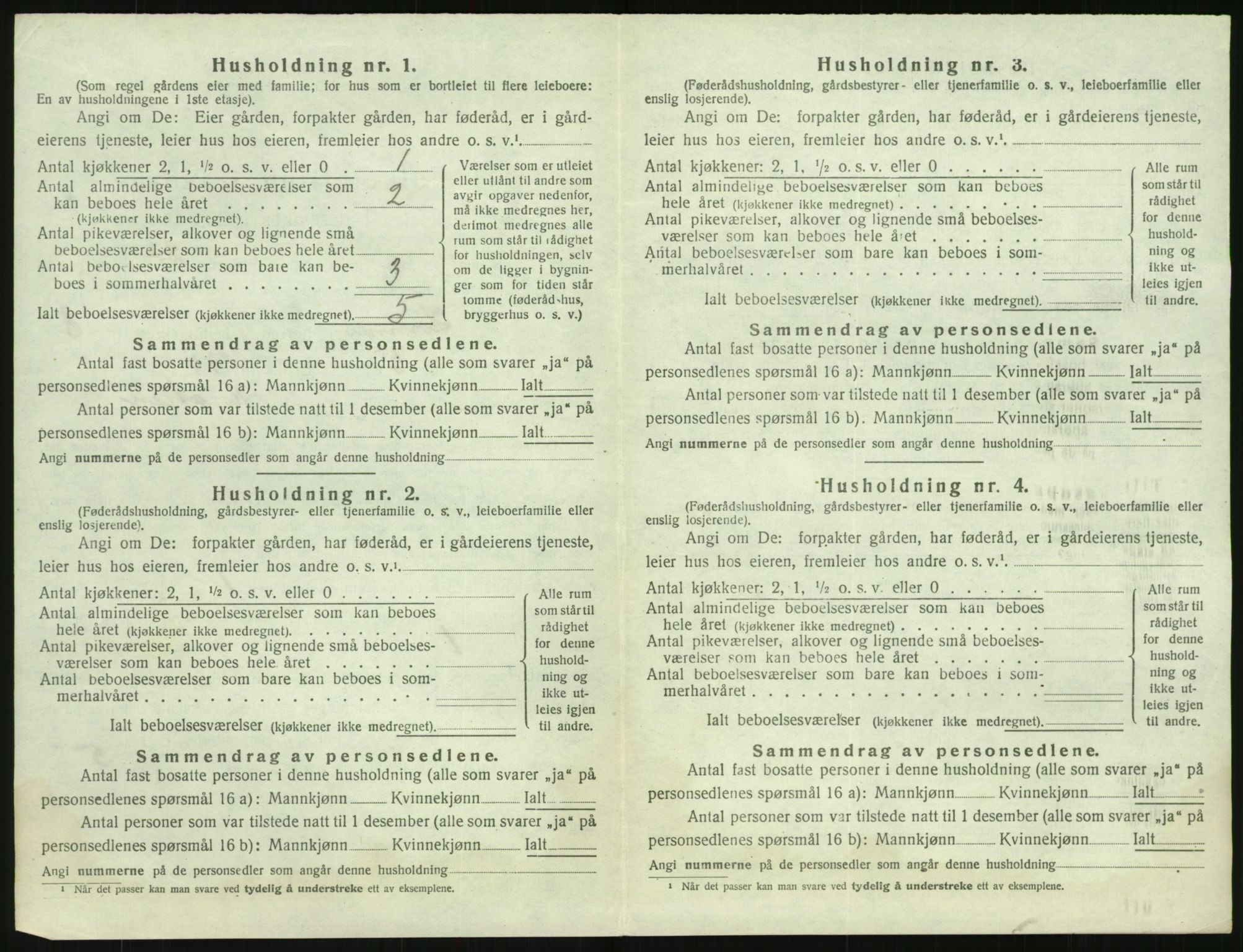 SAK, 1920 census for Hornnes, 1920, p. 348