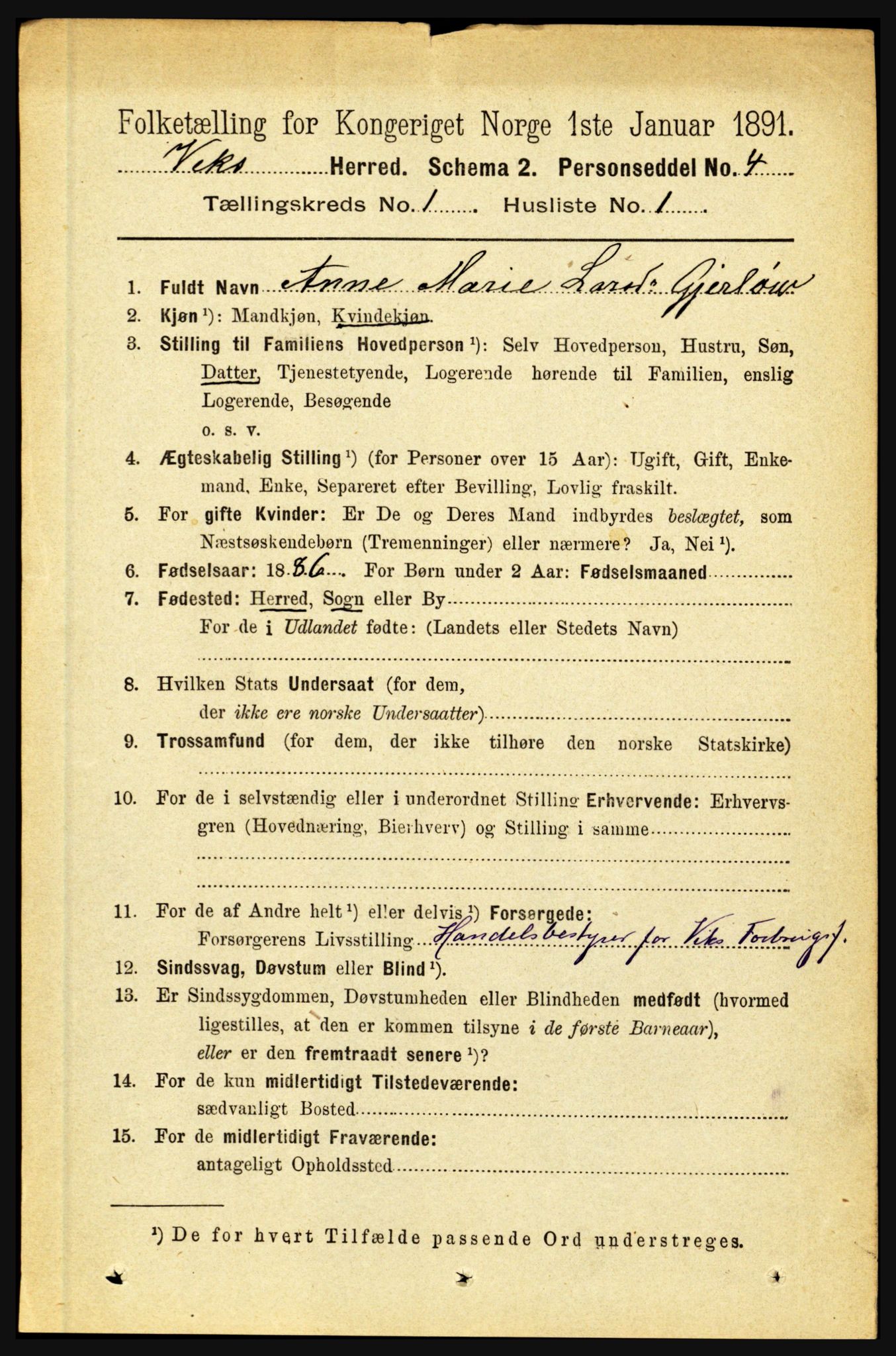 RA, 1891 census for 1417 Vik, 1891, p. 136