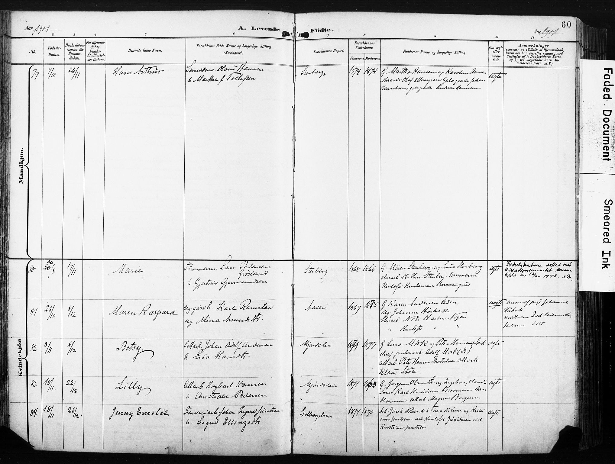 Nedre Eiker kirkebøker, AV/SAKO-A-612/F/Fa/L0005: Parish register (official) no. 5, 1898-1905, p. 60