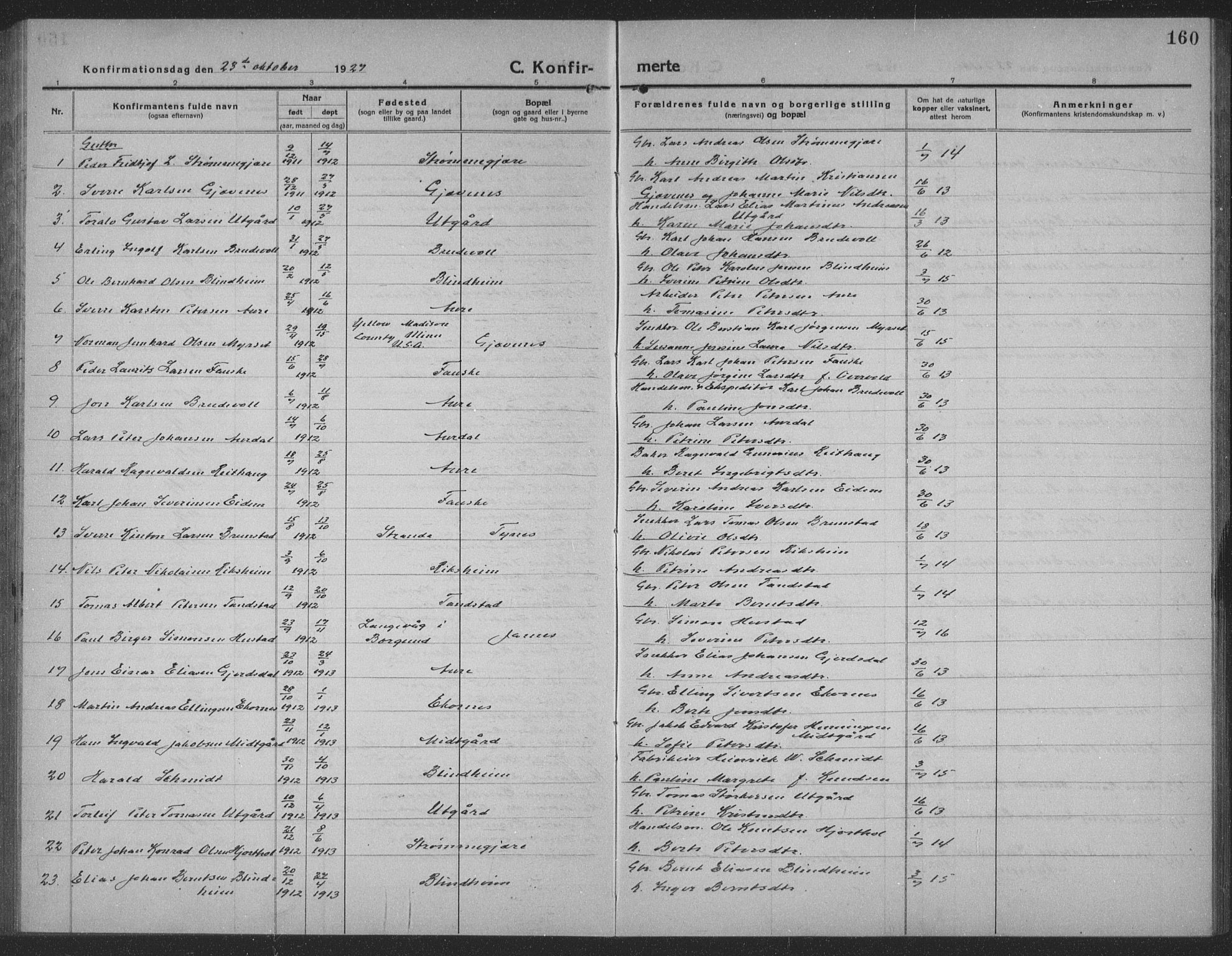 Ministerialprotokoller, klokkerbøker og fødselsregistre - Møre og Romsdal, AV/SAT-A-1454/523/L0342: Parish register (copy) no. 523C05, 1916-1937, p. 160