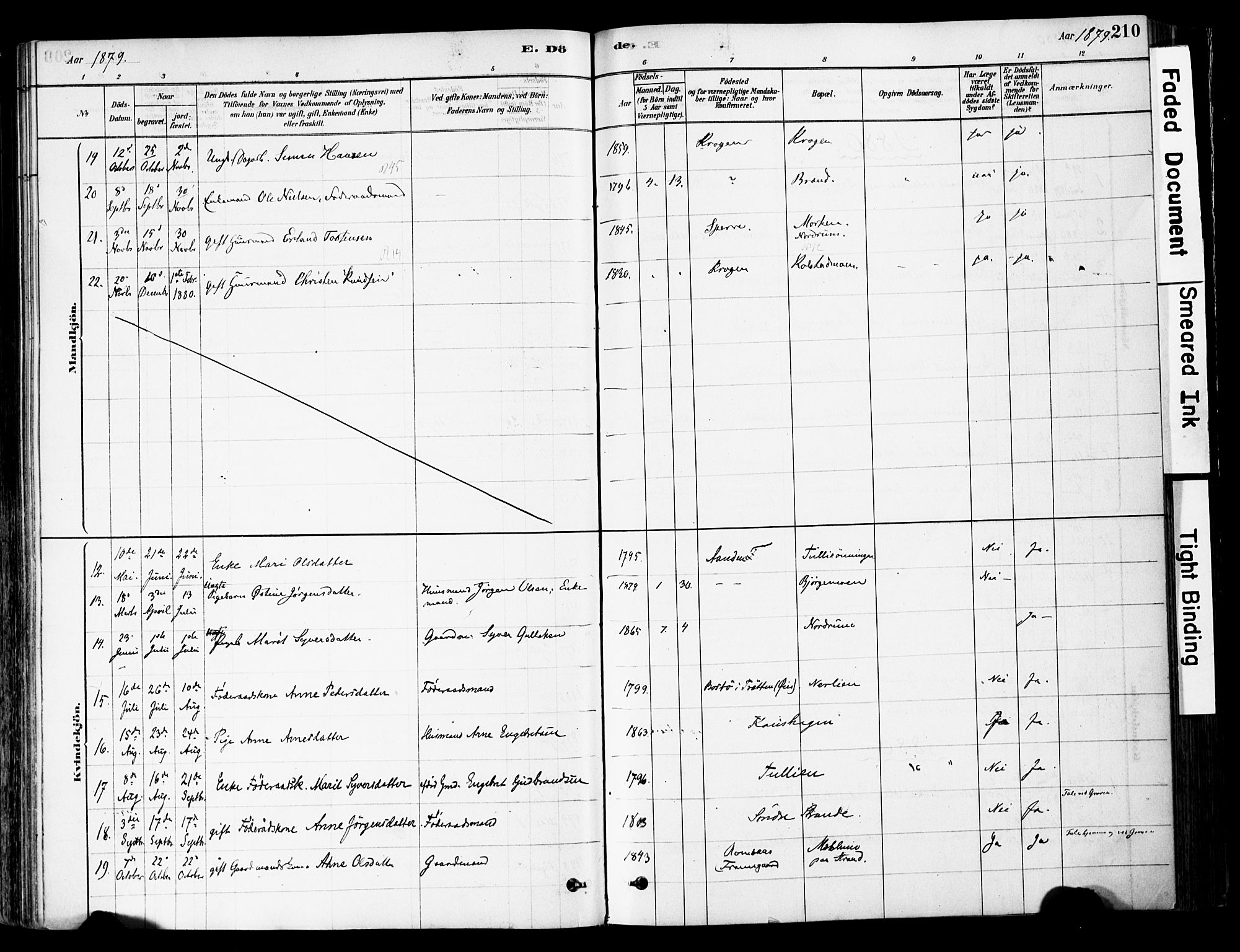 Ringebu prestekontor, AV/SAH-PREST-082/H/Ha/Haa/L0008: Parish register (official) no. 8, 1878-1898, p. 210