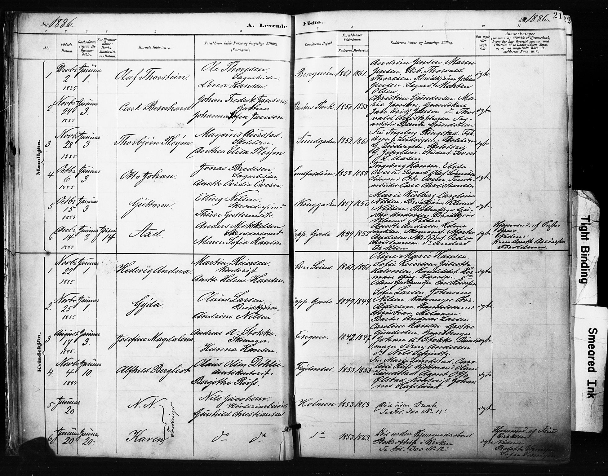 Bragernes kirkebøker, AV/SAKO-A-6/F/Fb/L0007: Parish register (official) no. II 7, 1885-1893, p. 21