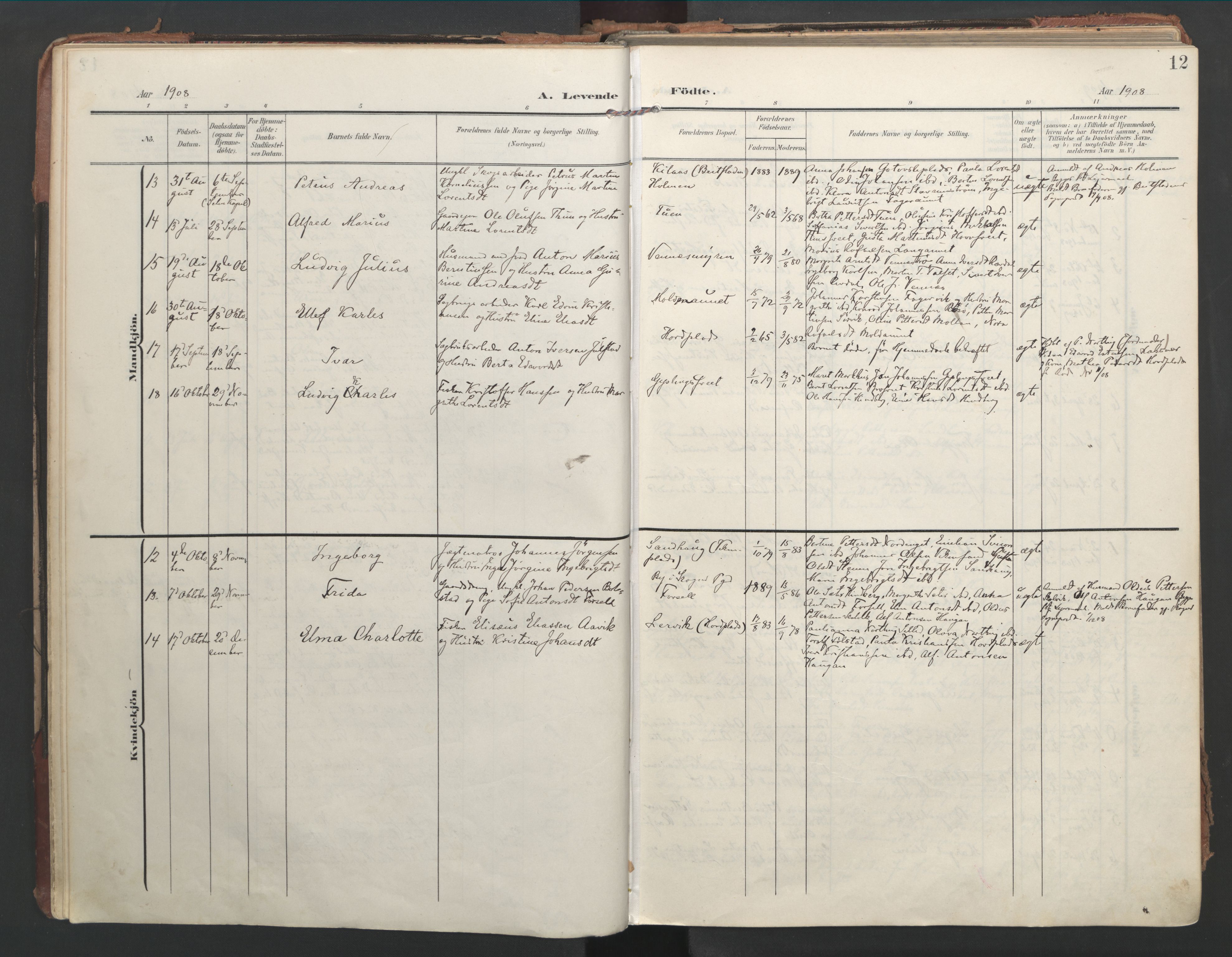 Ministerialprotokoller, klokkerbøker og fødselsregistre - Nord-Trøndelag, SAT/A-1458/744/L0421: Parish register (official) no. 744A05, 1905-1930, p. 12