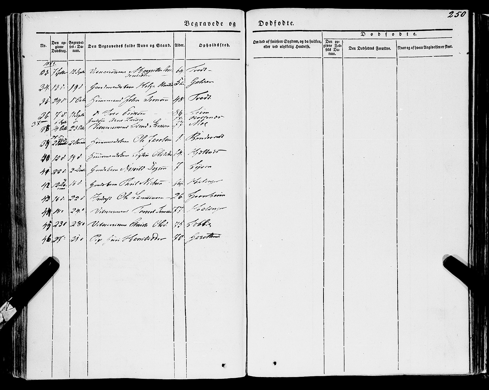 Ulvik sokneprestembete, AV/SAB-A-78801/H/Haa: Parish register (official) no. A 12, 1839-1853, p. 250