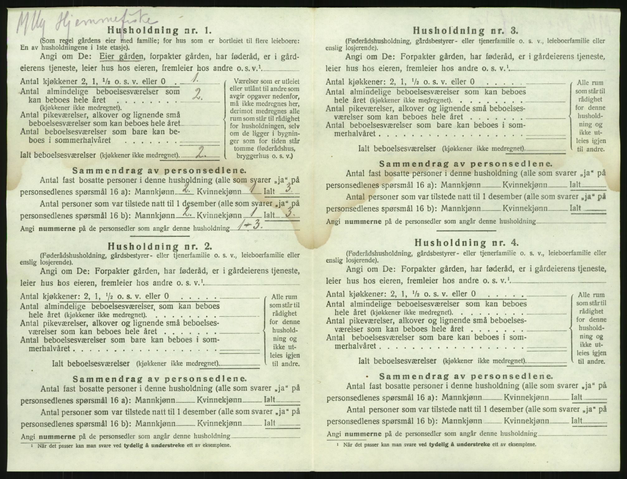 SAKO, 1920 census for Brunlanes, 1920, p. 486