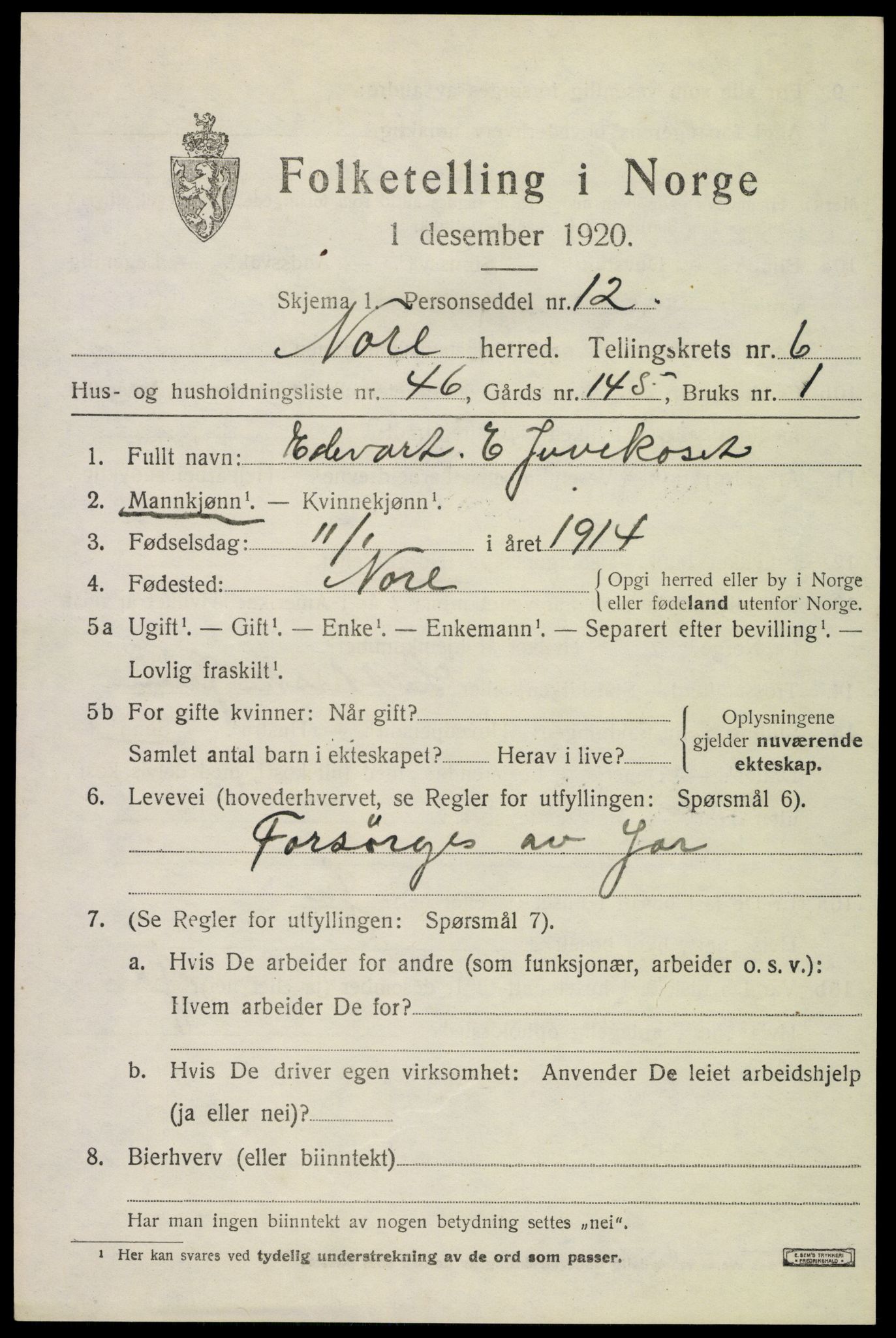 SAKO, 1920 census for Nore, 1920, p. 3040