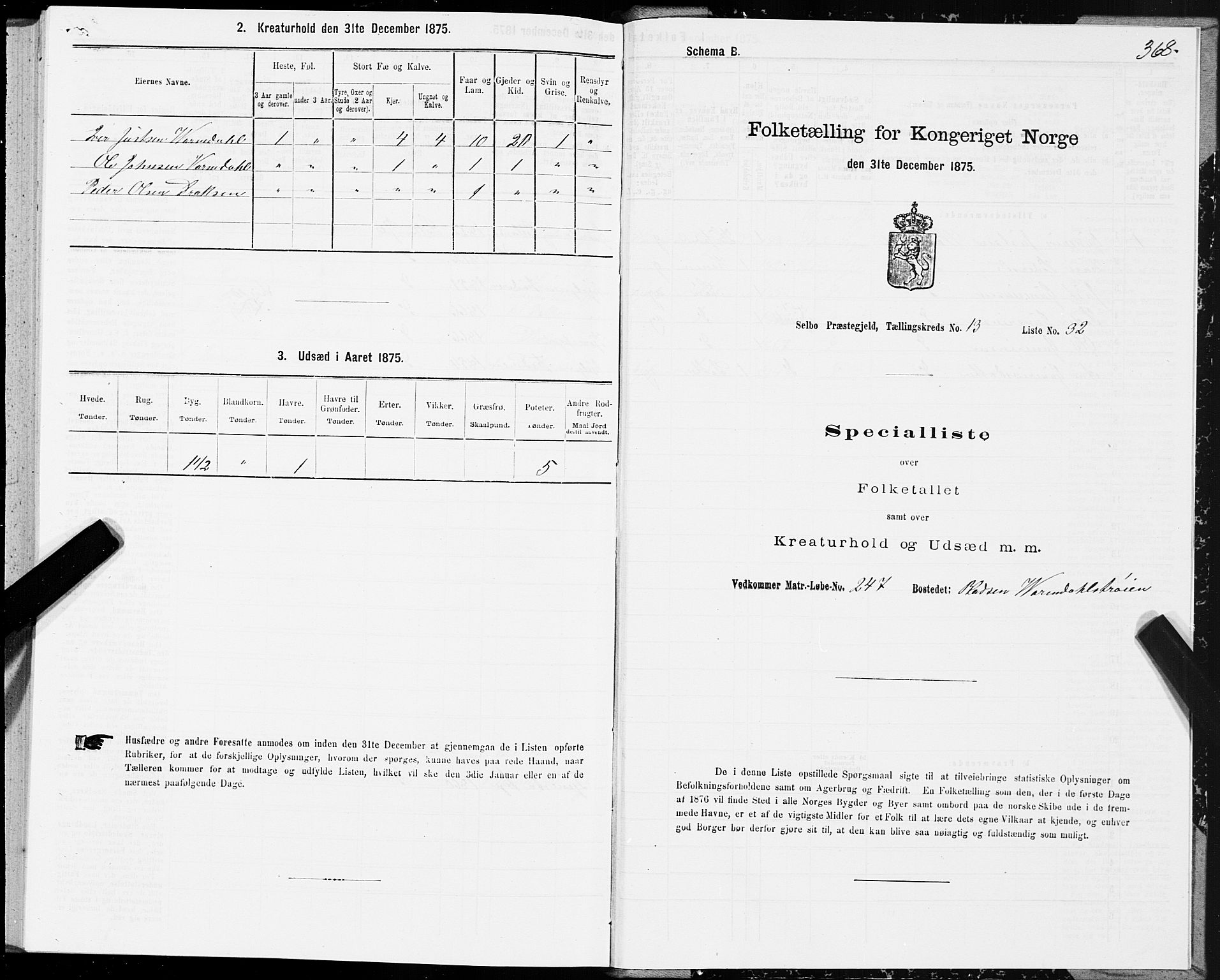 SAT, 1875 census for 1664P Selbu, 1875, p. 6368