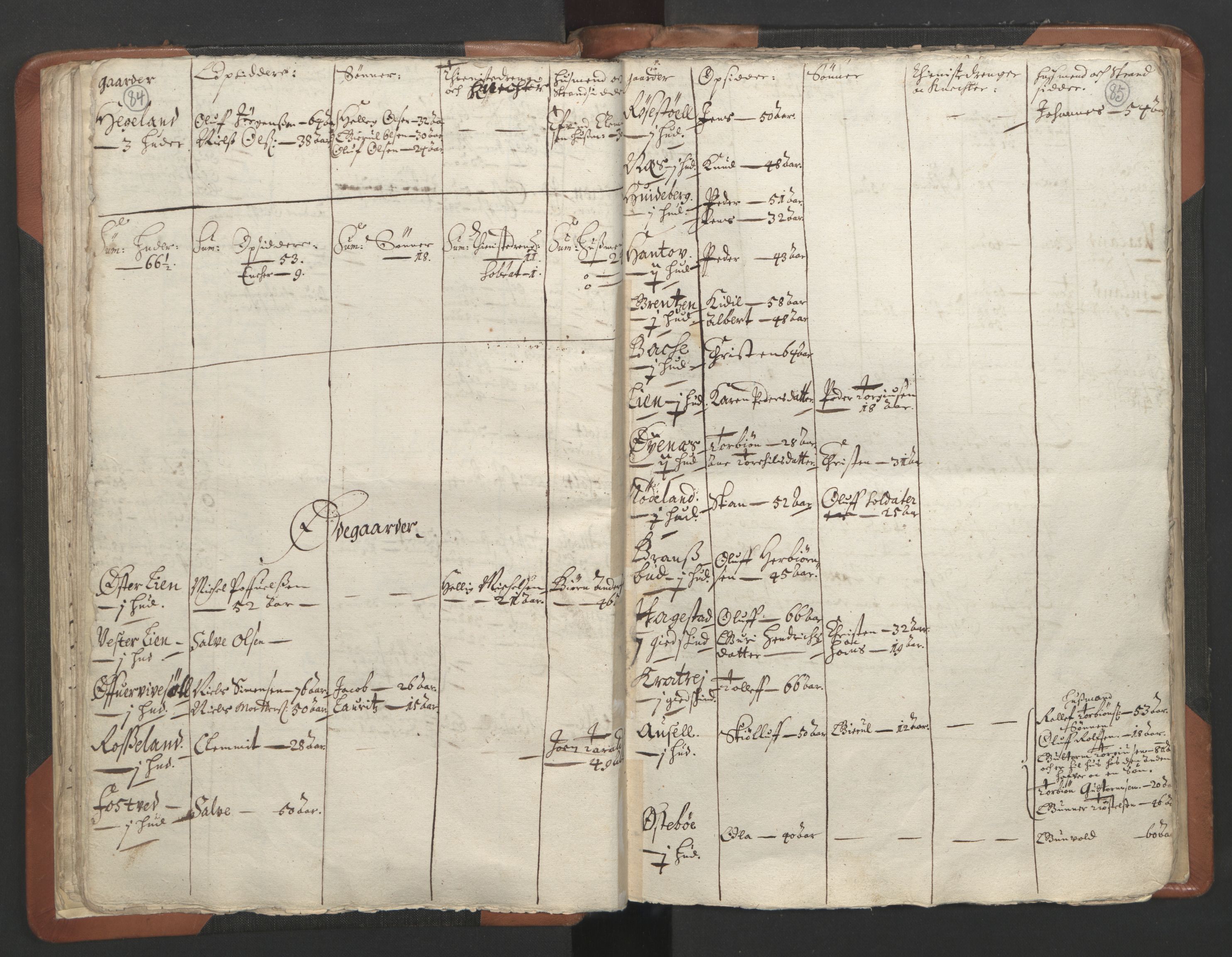 RA, Vicar's Census 1664-1666, no. 13: Nedenes deanery, 1664-1666, p. 84-85