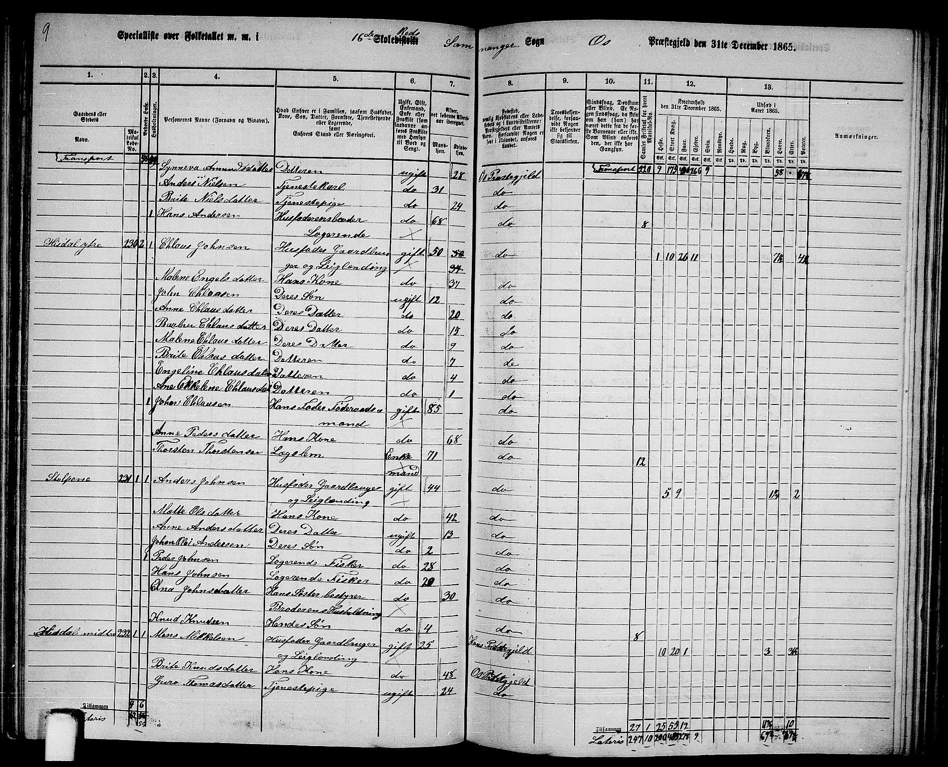 RA, 1865 census for Os, 1865, p. 107