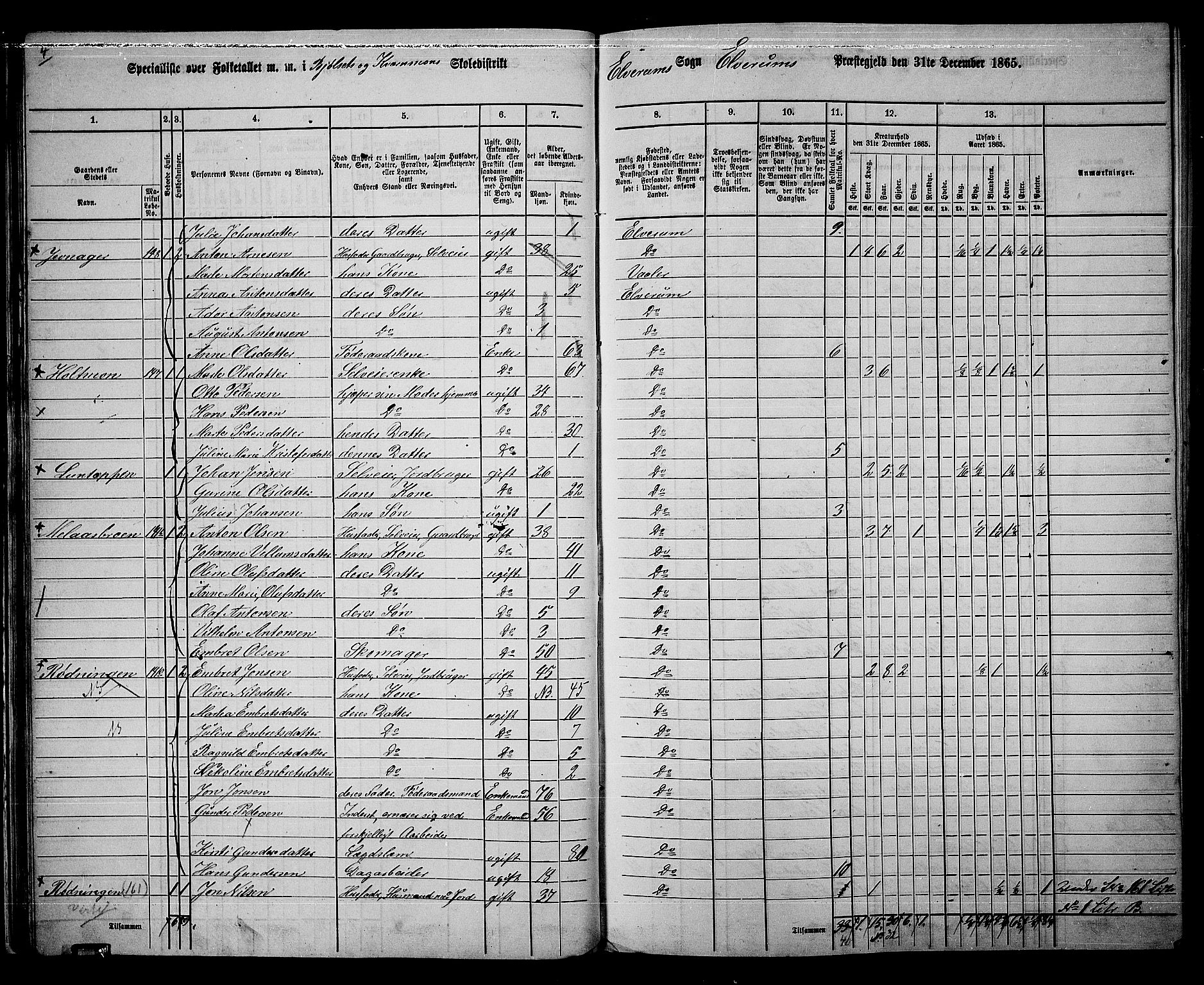 RA, 1865 census for Elverum, 1865, p. 28