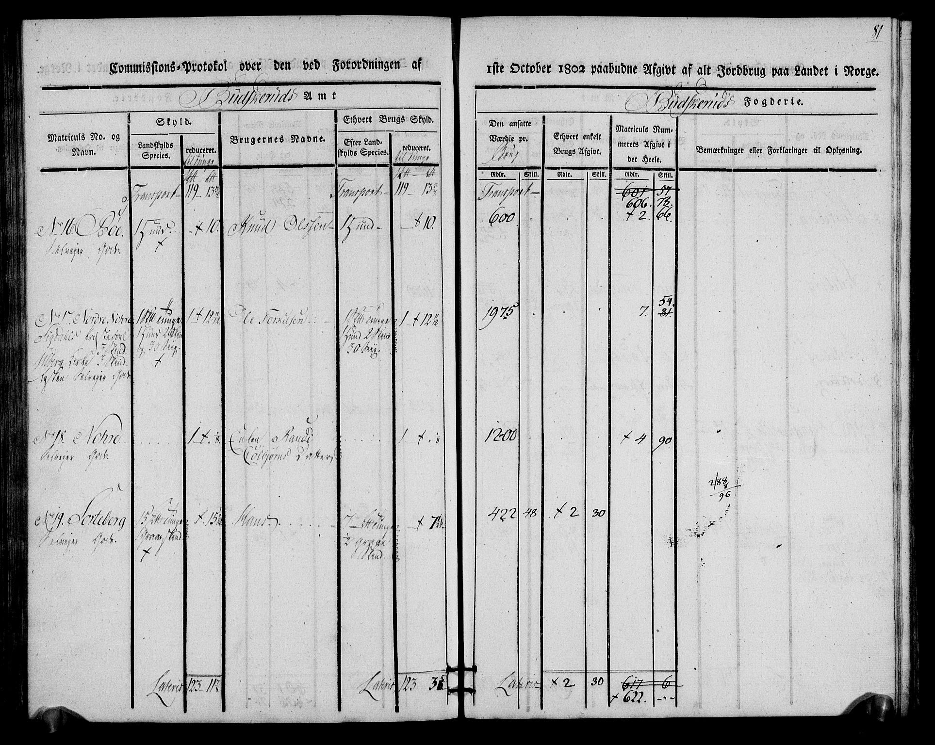 Rentekammeret inntil 1814, Realistisk ordnet avdeling, RA/EA-4070/N/Ne/Nea/L0060: Buskerud fogderi. Kommisjonsprotokoll for Sigdal prestegjeld, 1803, p. 81