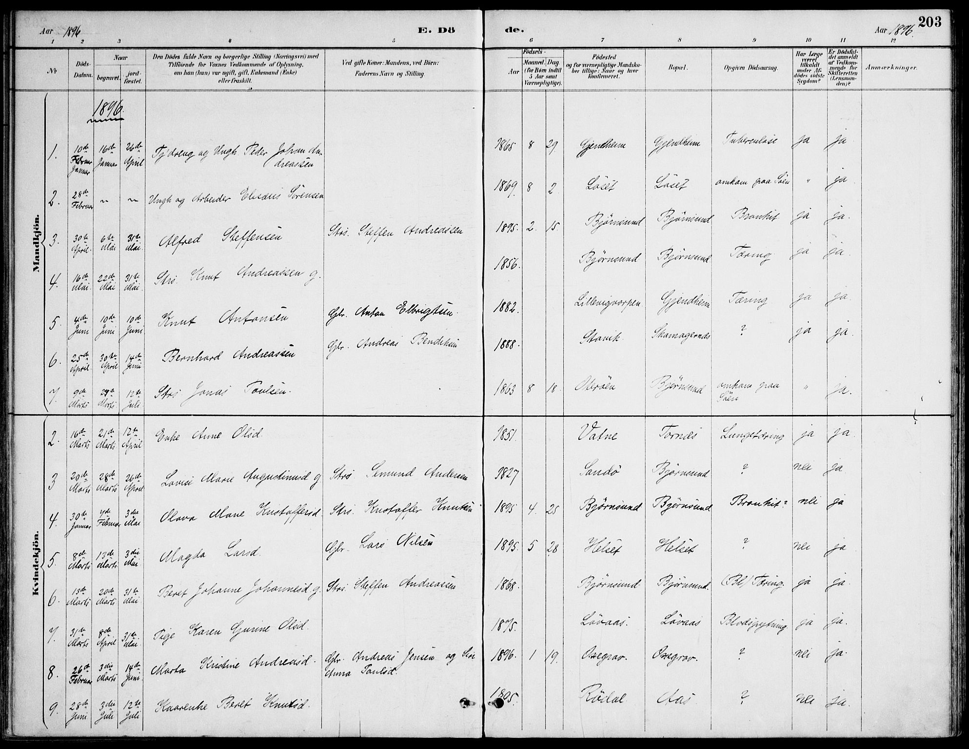 Ministerialprotokoller, klokkerbøker og fødselsregistre - Møre og Romsdal, AV/SAT-A-1454/565/L0750: Parish register (official) no. 565A04, 1887-1905, p. 203