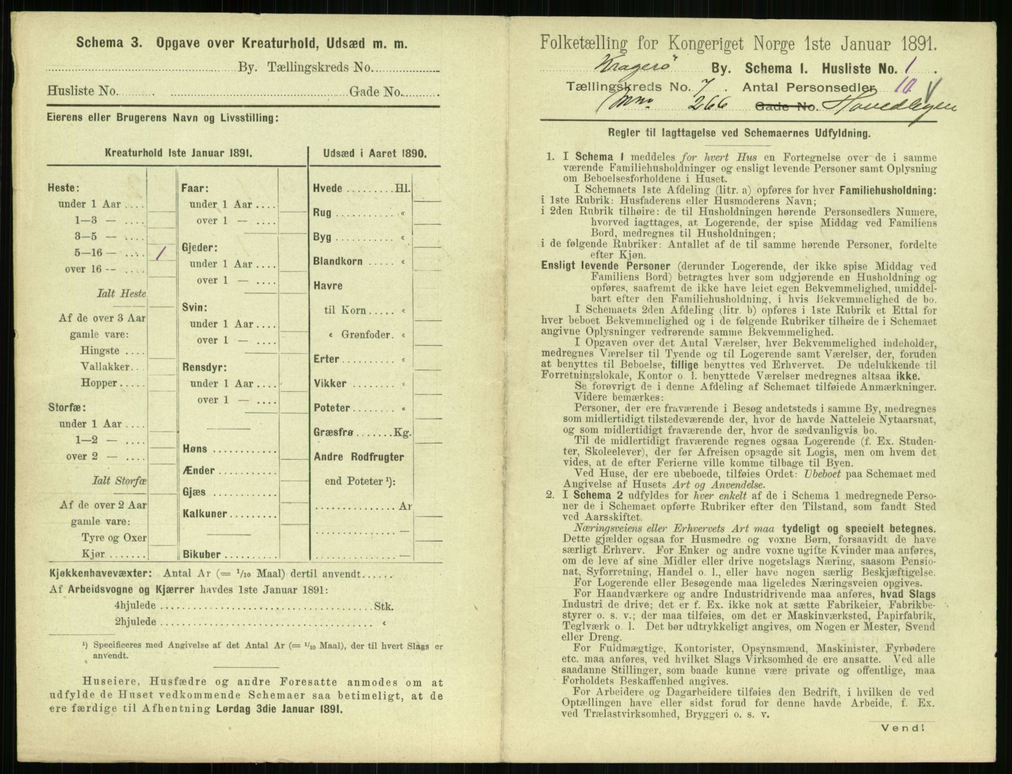 RA, 1891 census for 0801 Kragerø, 1891, p. 516