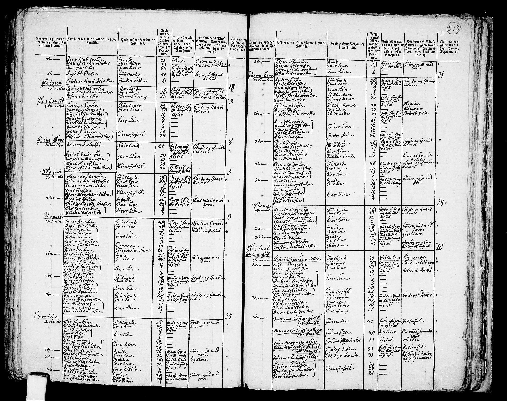 RA, 1801 census for 0127P Skiptvet, 1801, p. 512b-513a