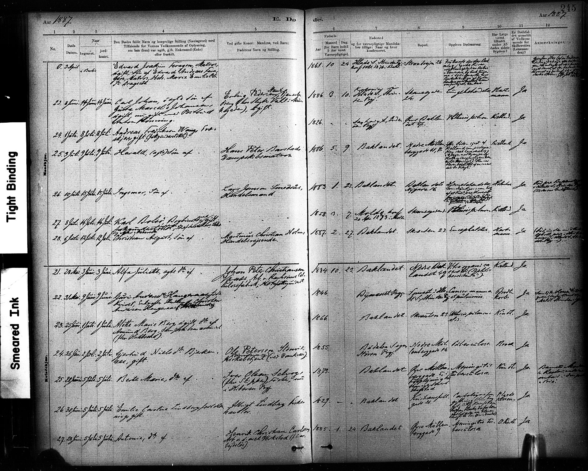 Ministerialprotokoller, klokkerbøker og fødselsregistre - Sør-Trøndelag, AV/SAT-A-1456/604/L0189: Parish register (official) no. 604A10, 1878-1892, p. 245