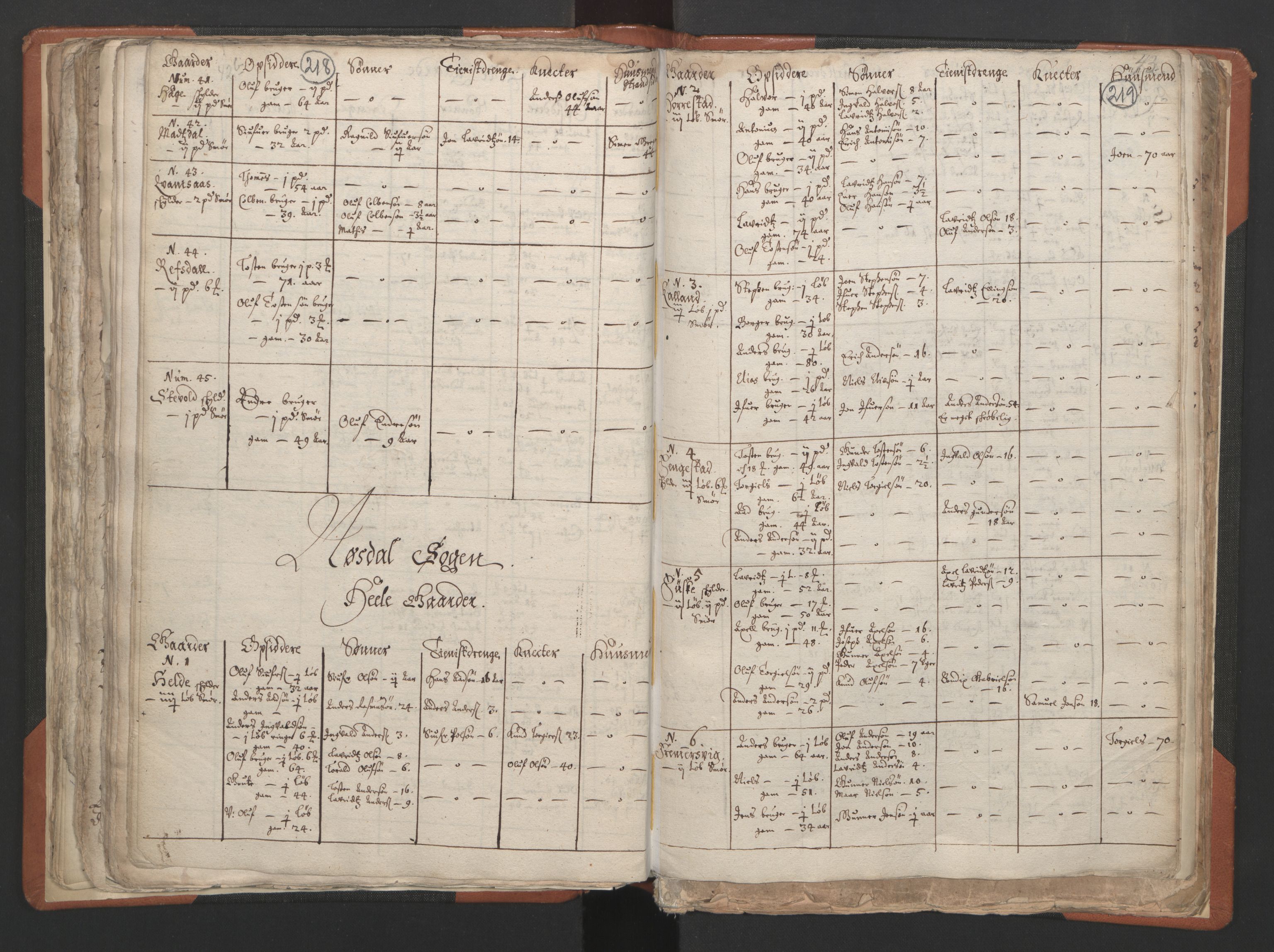 RA, Vicar's Census 1664-1666, no. 24: Sunnfjord deanery, 1664-1666, p. 218-219