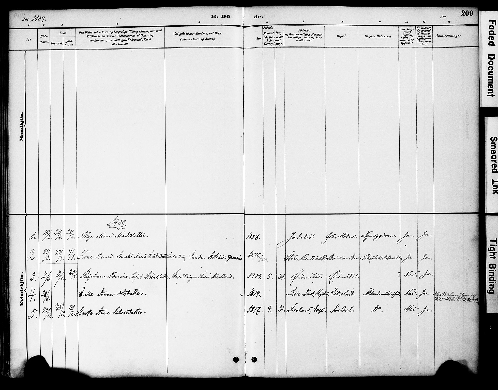 Evje sokneprestkontor, AV/SAK-1111-0008/F/Fa/Fac/L0003: Parish register (official) no. A 3, 1884-1909, p. 209