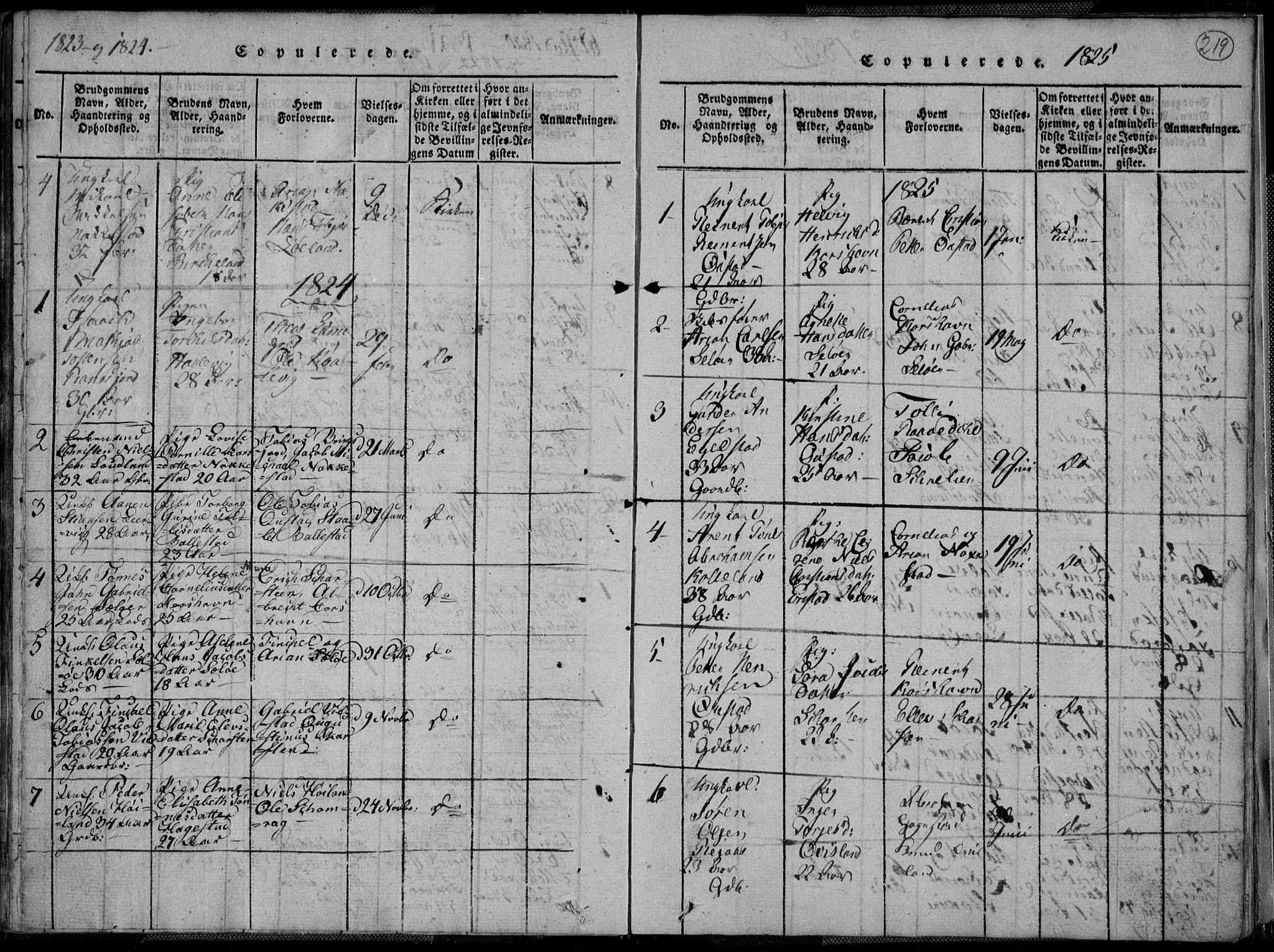Lyngdal sokneprestkontor, SAK/1111-0029/F/Fa/Fac/L0006: Parish register (official) no. A 6, 1815-1825, p. 219