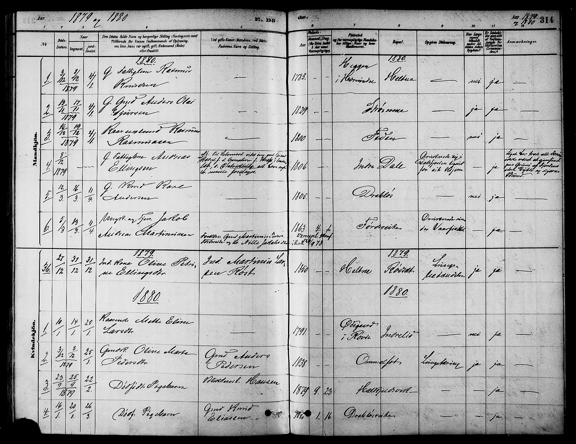 Ministerialprotokoller, klokkerbøker og fødselsregistre - Møre og Romsdal, AV/SAT-A-1454/511/L0141: Parish register (official) no. 511A08, 1878-1890, p. 314