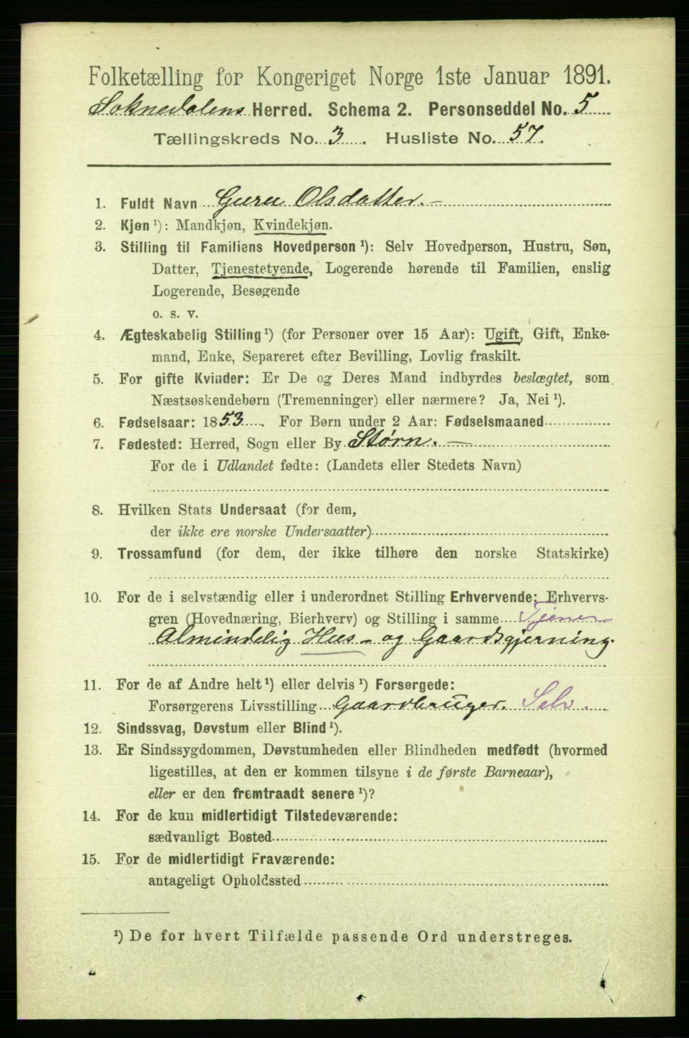 RA, 1891 census for 1649 Soknedal, 1891, p. 1515