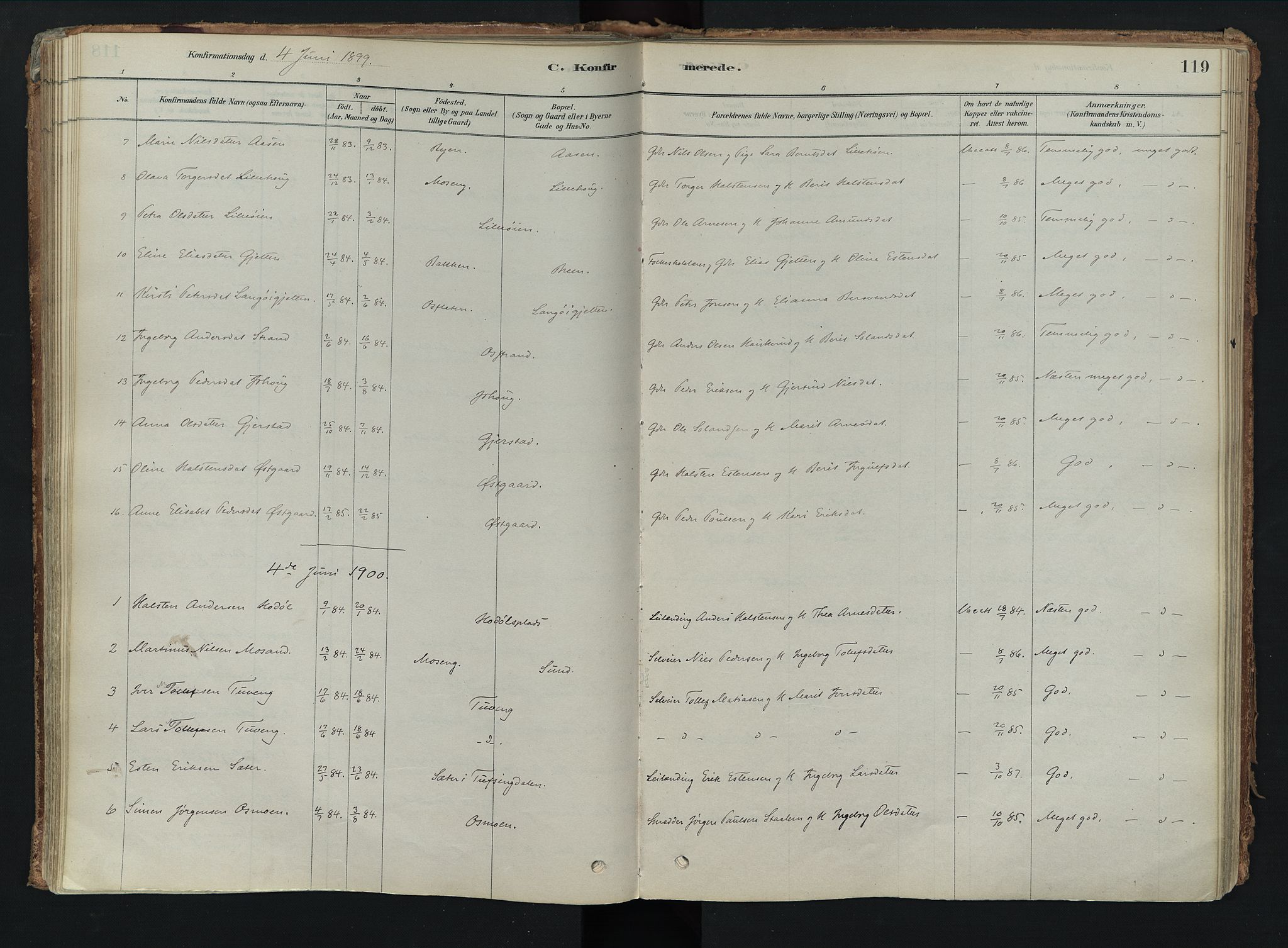 Tolga prestekontor, SAH/PREST-062/K/L0008: Parish register (official) no. 8, 1877-1910, p. 119