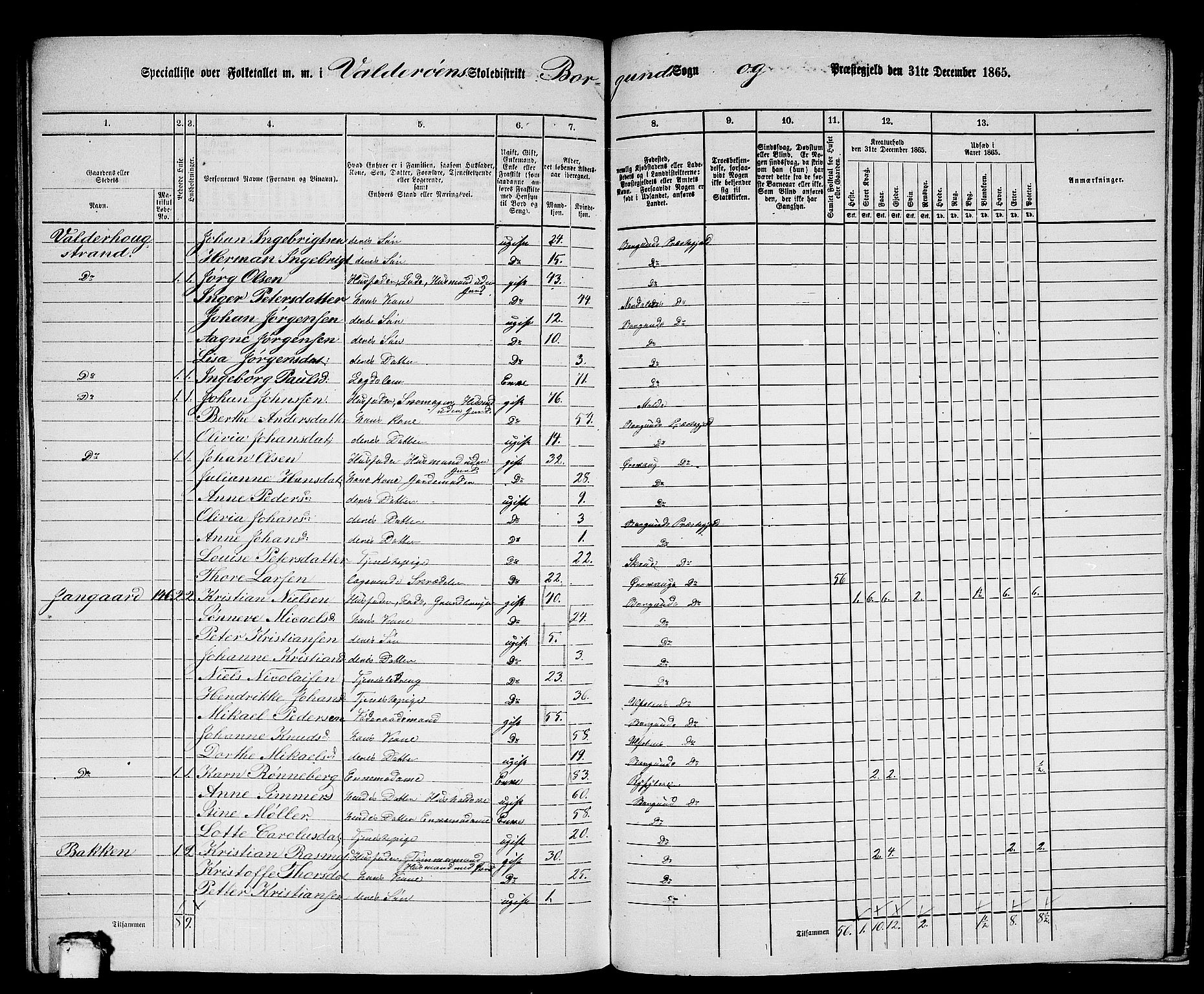 RA, 1865 census for Borgund, 1865, p. 247