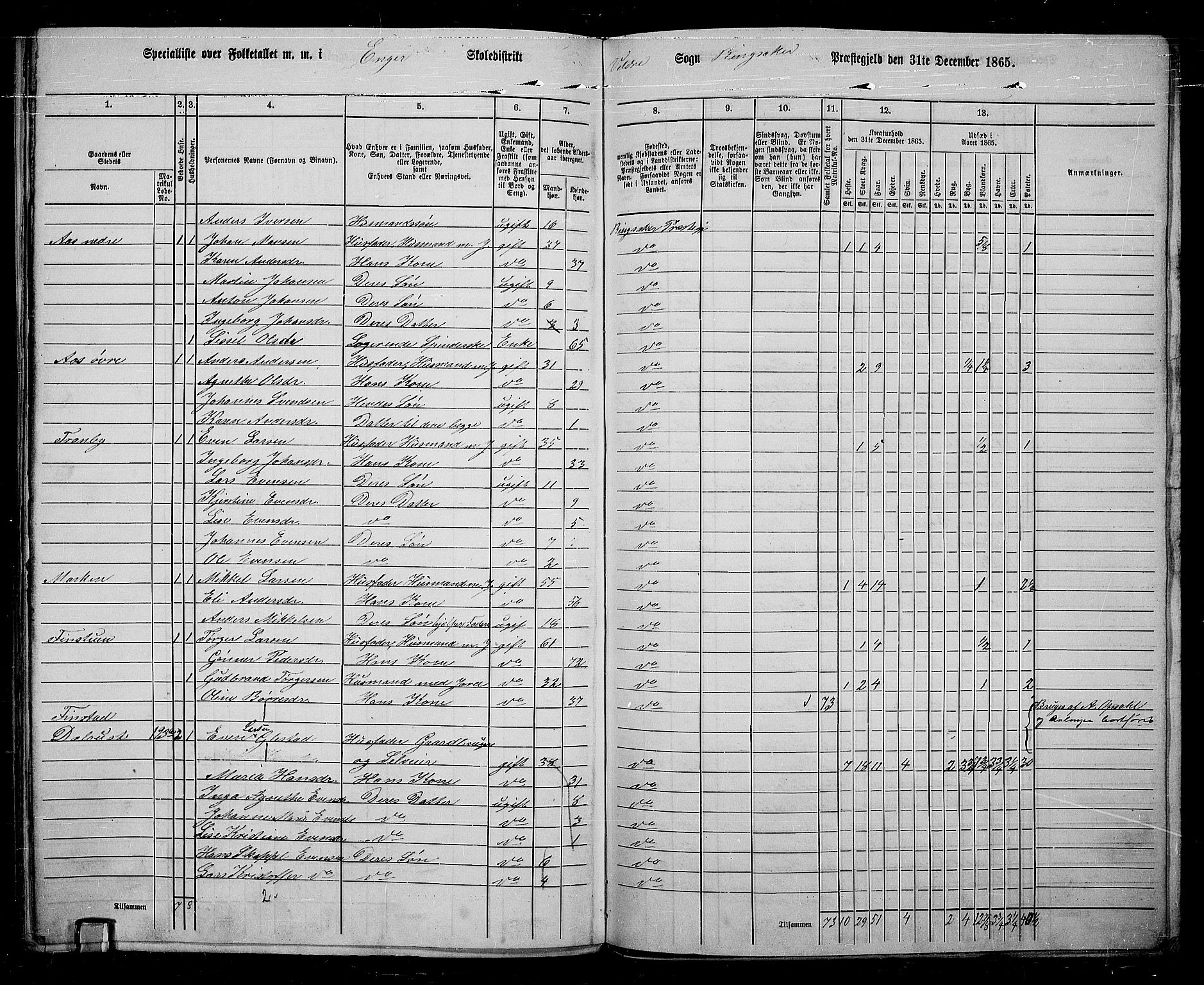 RA, 1865 census for Ringsaker, 1865, p. 234