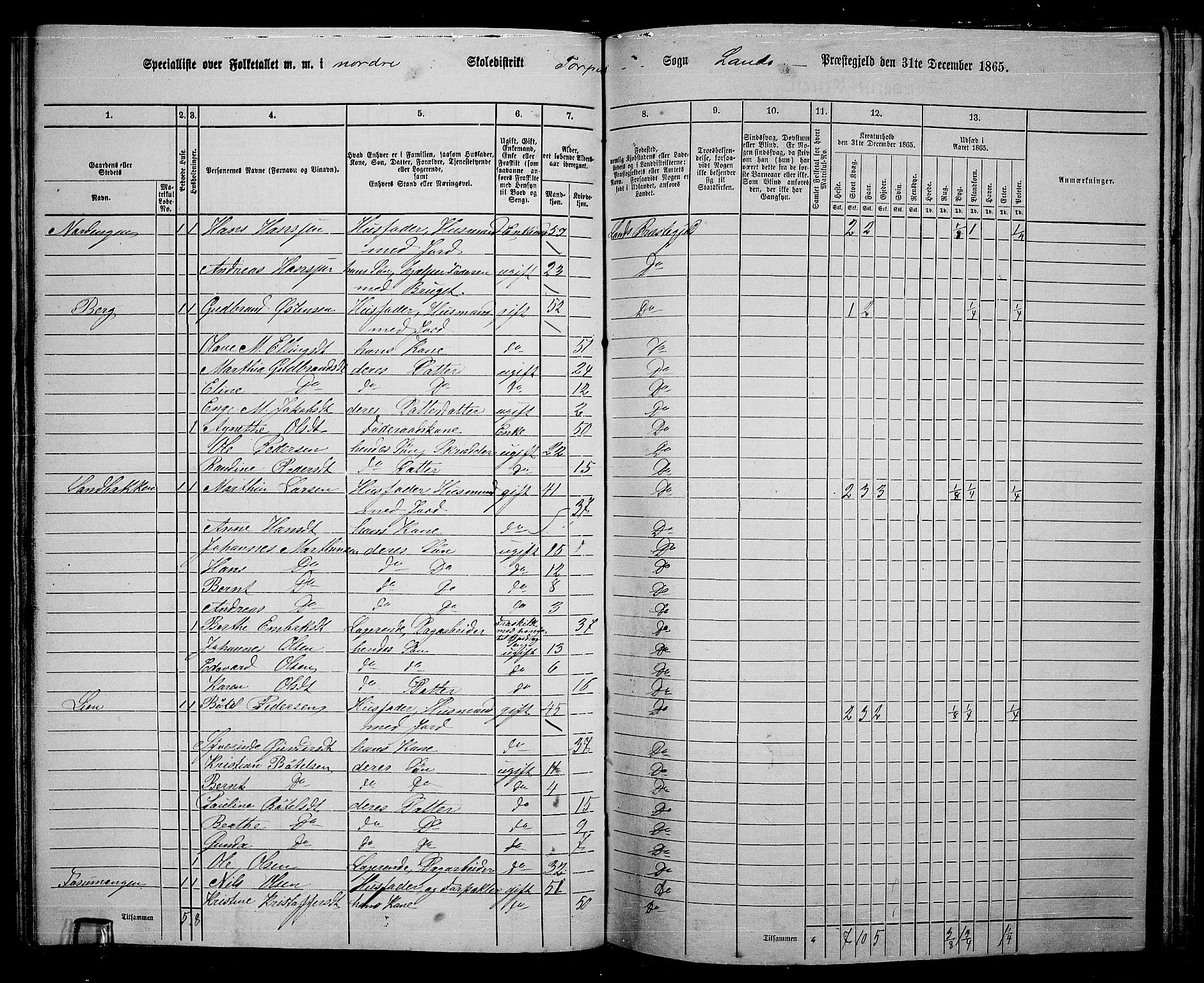 RA, 1865 census for Land, 1865, p. 160