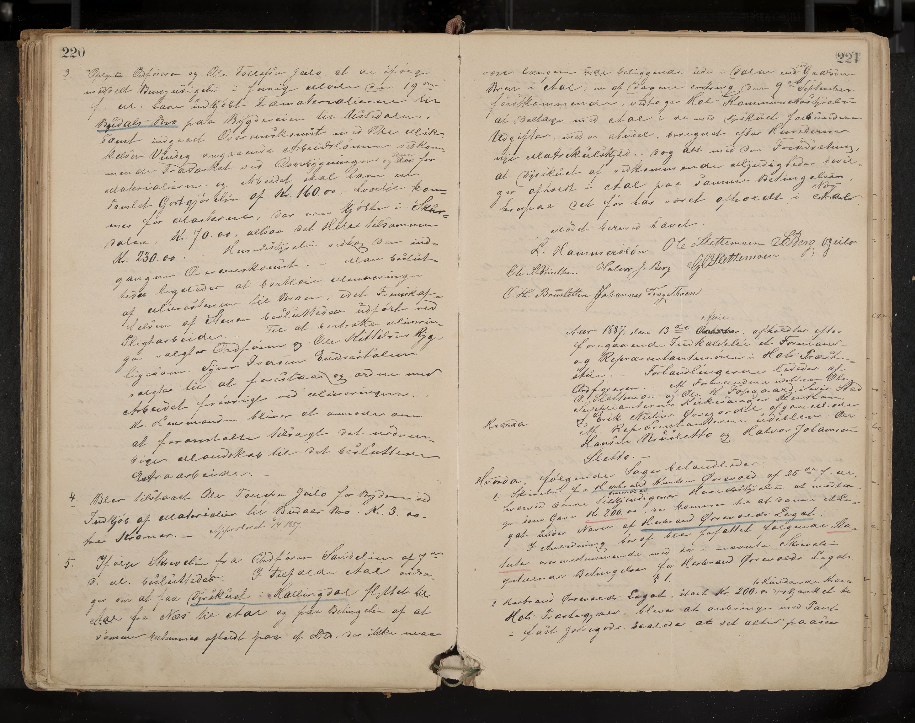 Hol formannskap og sentraladministrasjon, IKAK/0620021-1/A/L0001: Møtebok, 1877-1893, p. 220-221