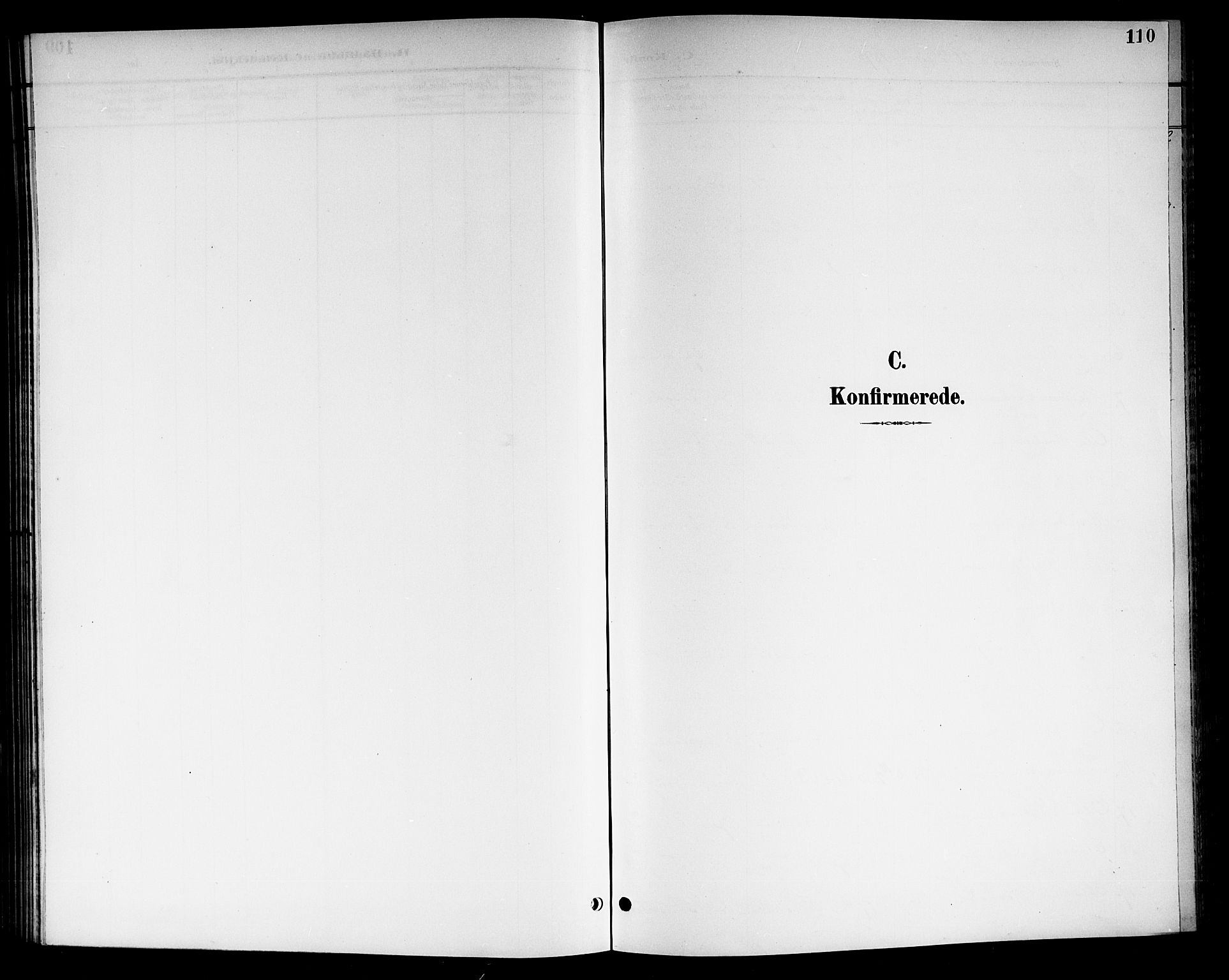 Nore kirkebøker, SAKO/A-238/G/Gb/L0003: Parish register (copy) no. II 3, 1894-1923, p. 110