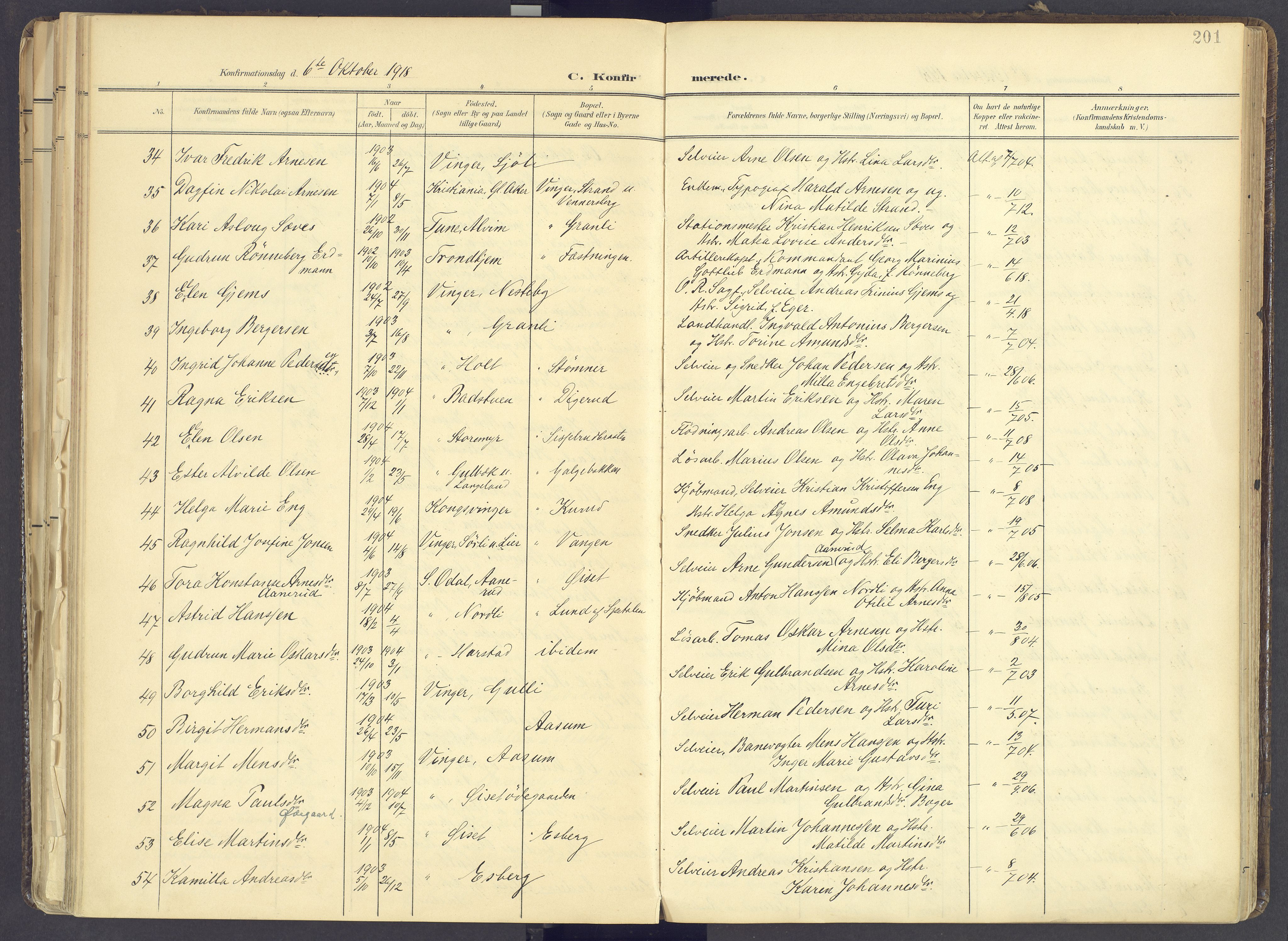 Vinger prestekontor, AV/SAH-PREST-024/H/Ha/Haa/L0017: Parish register (official) no. 17, 1901-1927, p. 201