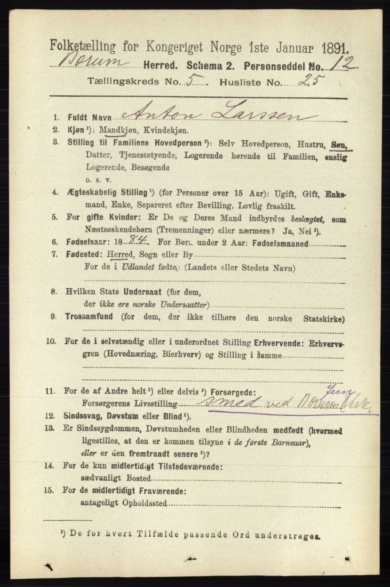 RA, 1891 census for 0219 Bærum, 1891, p. 3151