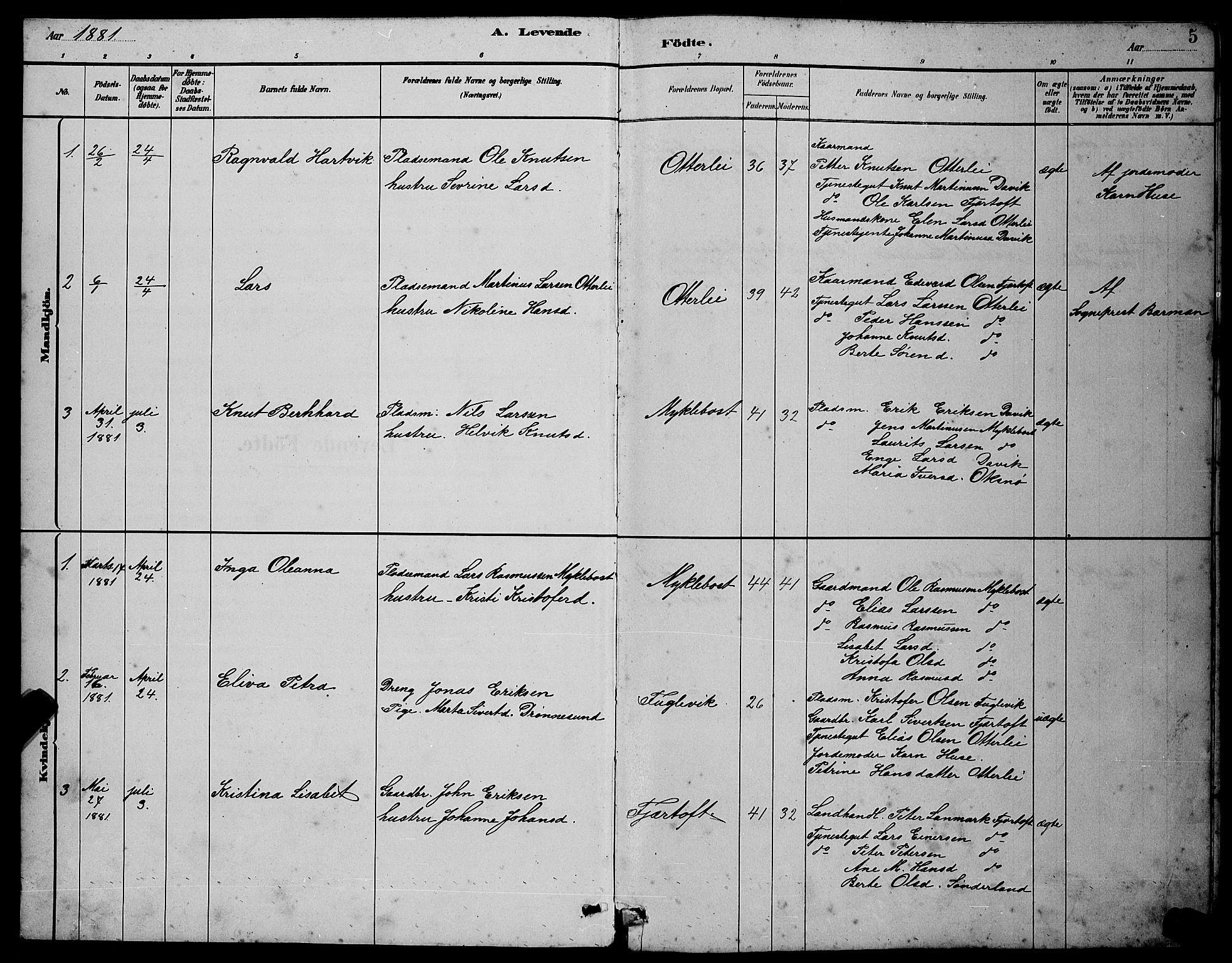 Ministerialprotokoller, klokkerbøker og fødselsregistre - Møre og Romsdal, SAT/A-1454/538/L0523: Parish register (copy) no. 538C01, 1881-1900, p. 5