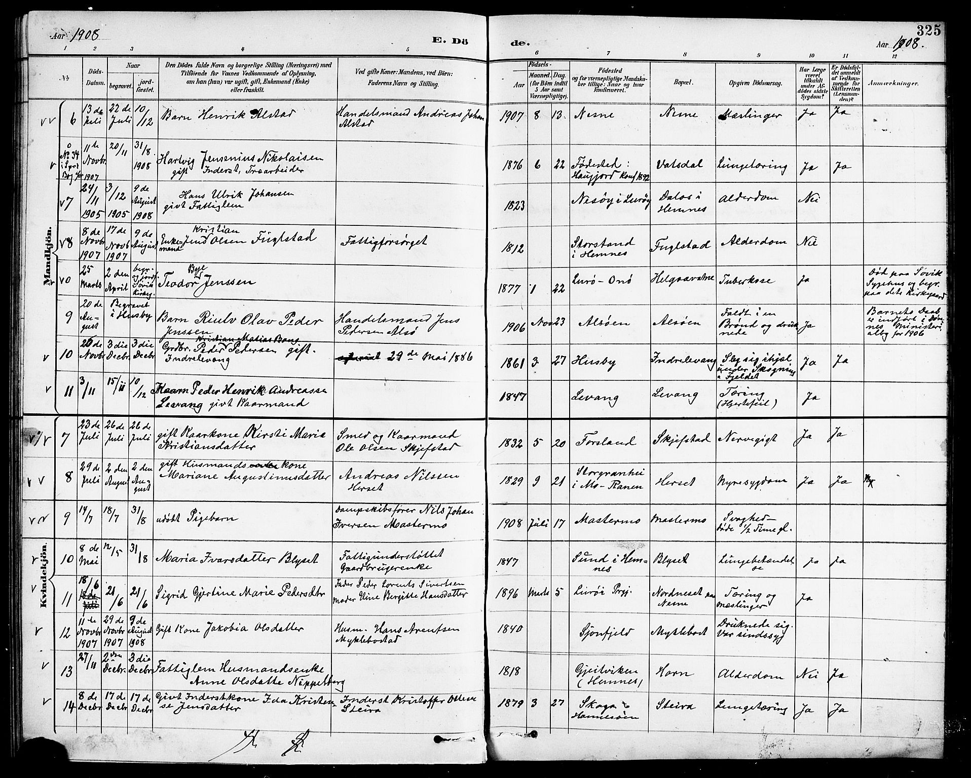 Ministerialprotokoller, klokkerbøker og fødselsregistre - Nordland, SAT/A-1459/838/L0559: Parish register (copy) no. 838C06, 1893-1910, p. 325
