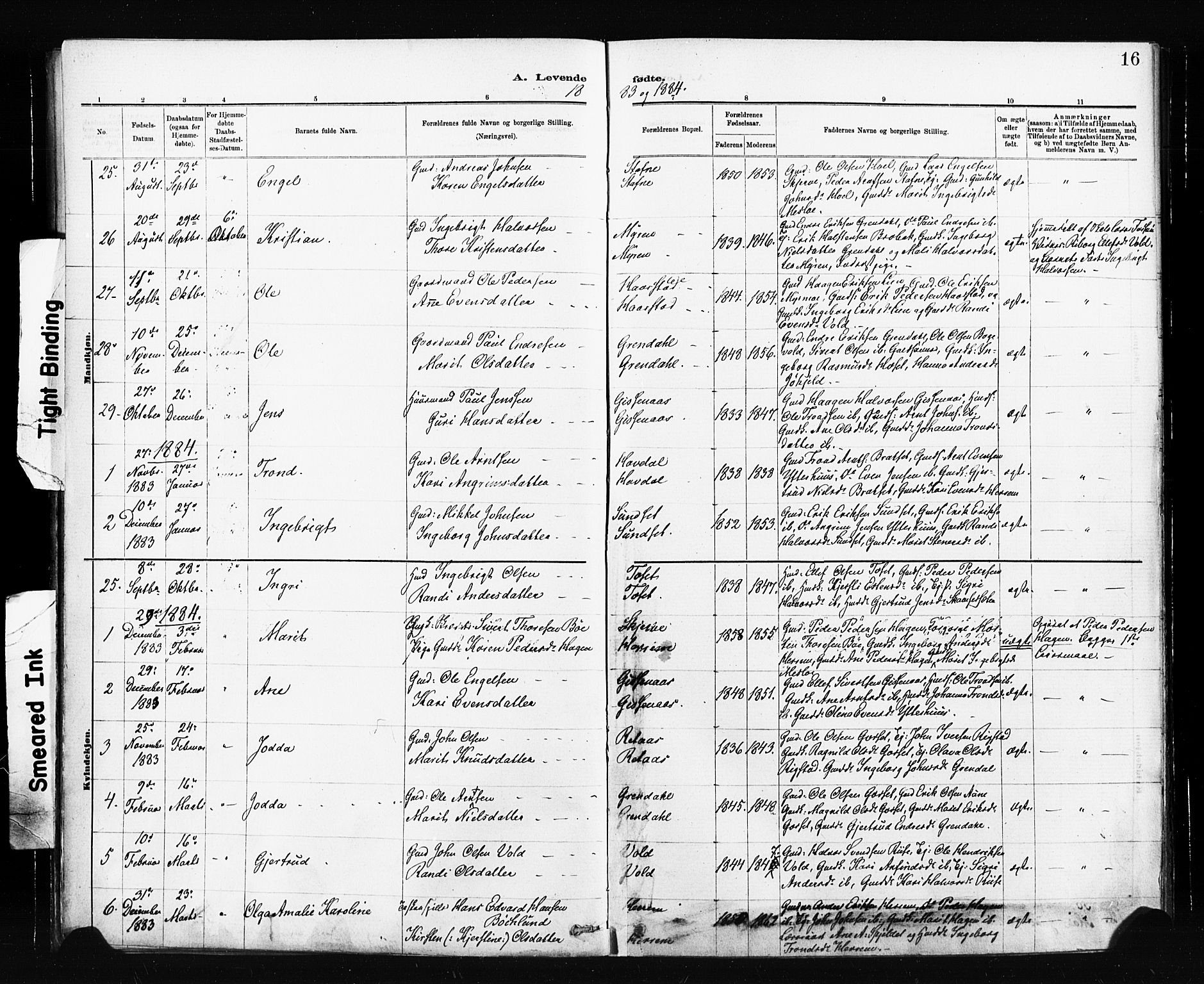 Ministerialprotokoller, klokkerbøker og fødselsregistre - Sør-Trøndelag, SAT/A-1456/674/L0871: Parish register (official) no. 674A03, 1880-1896, p. 16