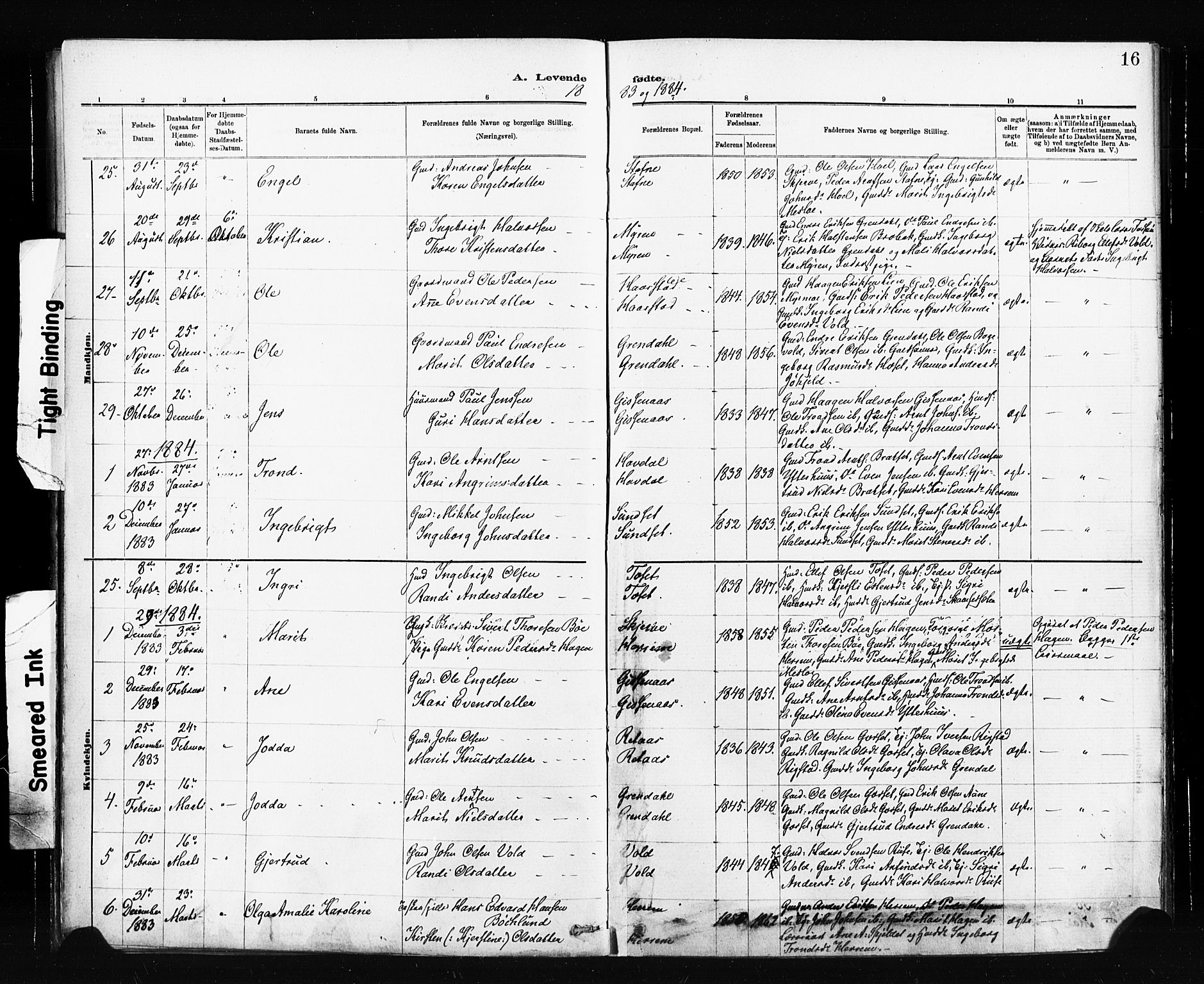 Ministerialprotokoller, klokkerbøker og fødselsregistre - Sør-Trøndelag, AV/SAT-A-1456/674/L0871: Parish register (official) no. 674A03, 1880-1896, p. 16